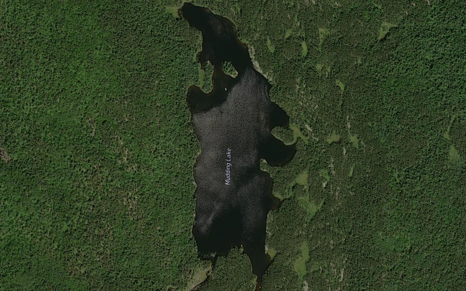 Satellite map of the Mudding Lake