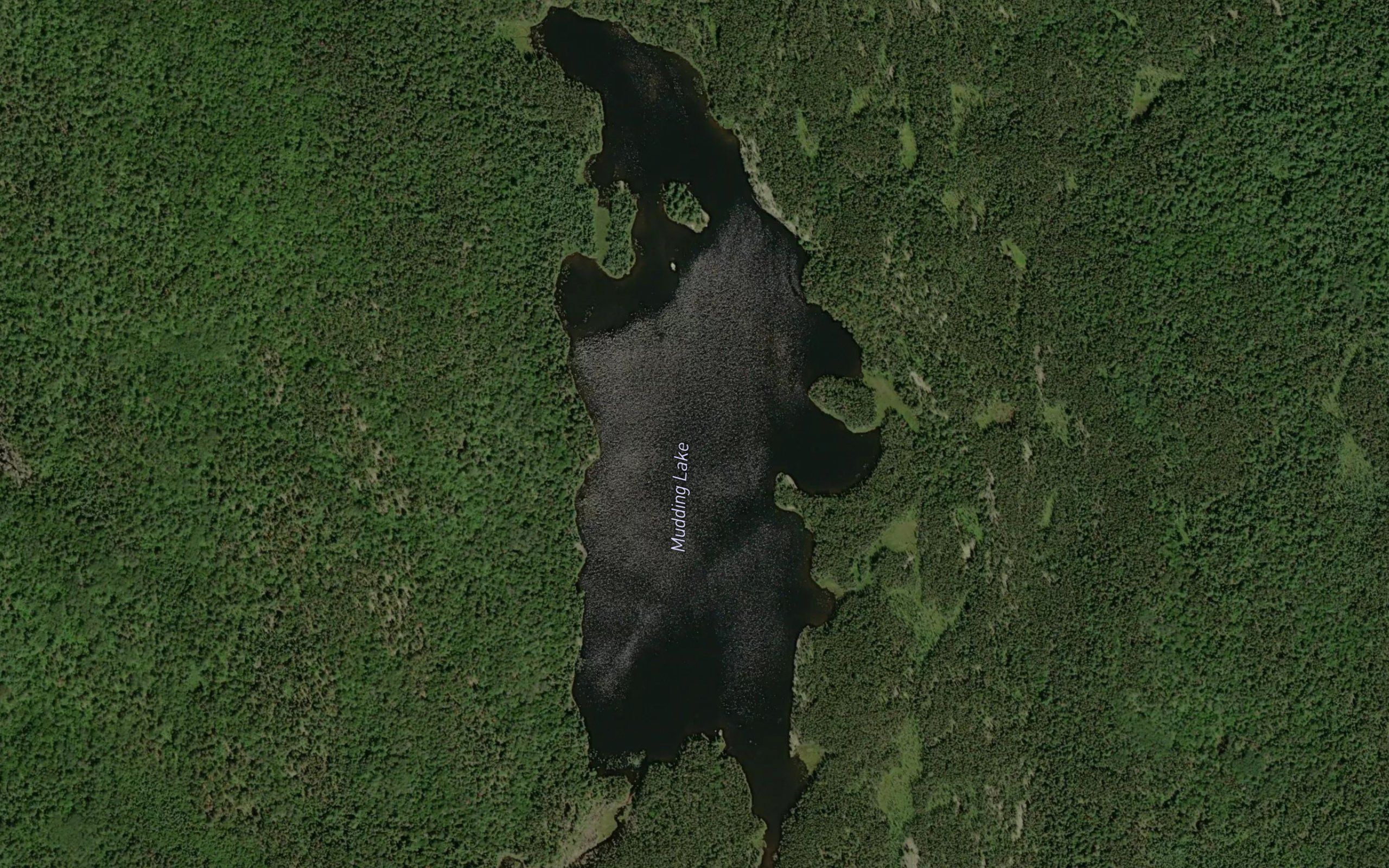 Mudding Lake