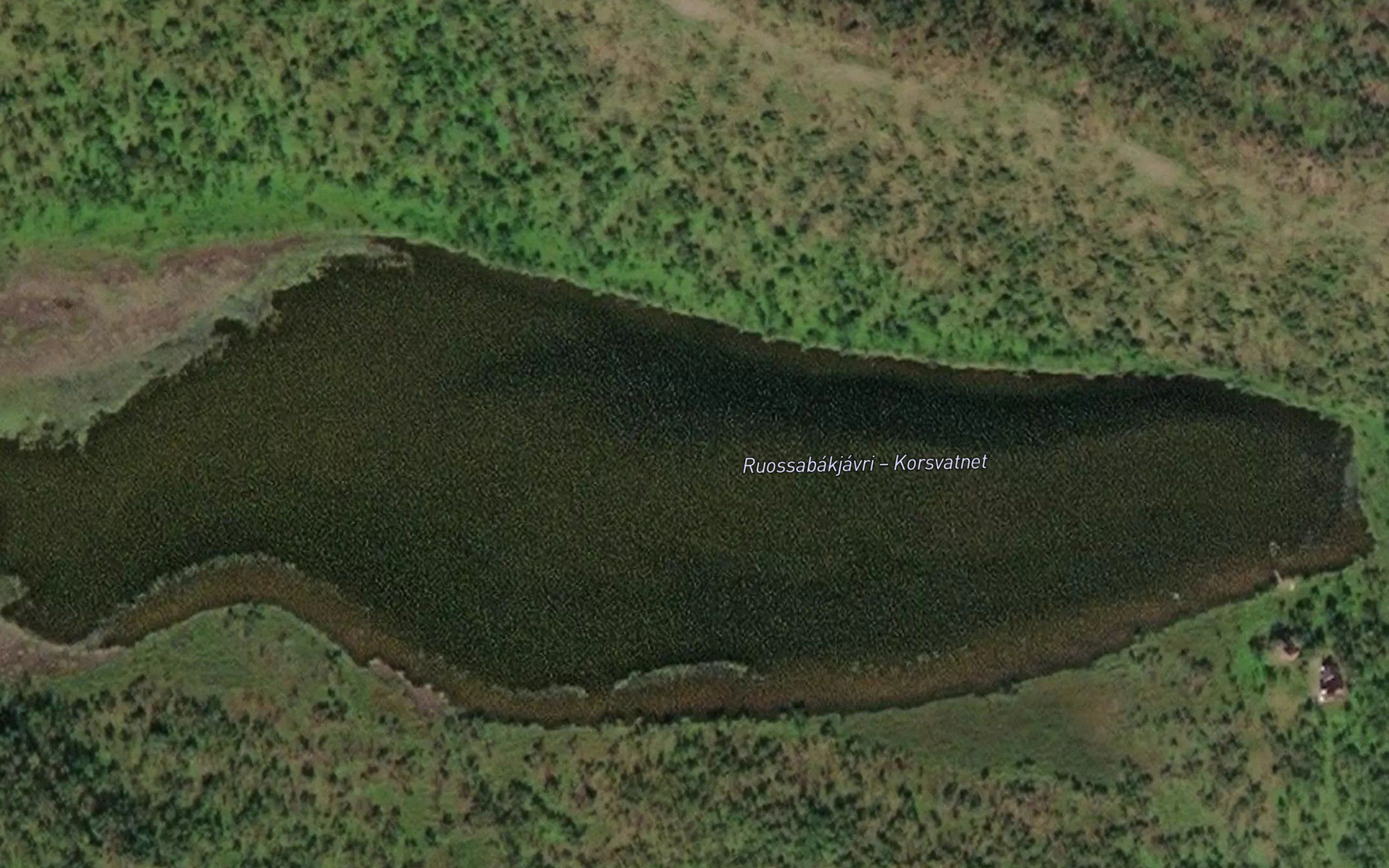 Ruossabakjavri