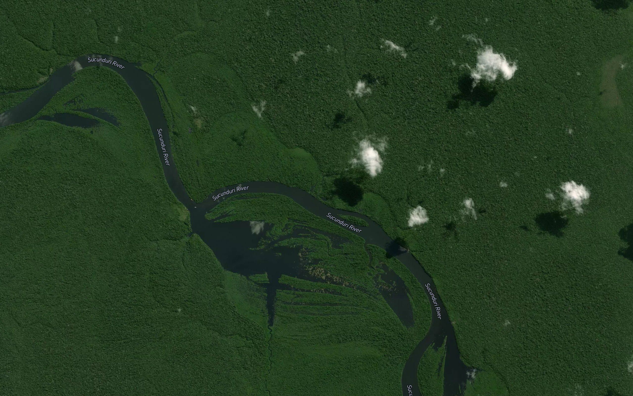 Igarape da Guariba