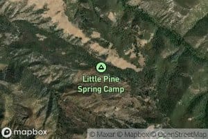 Little Pine Spring