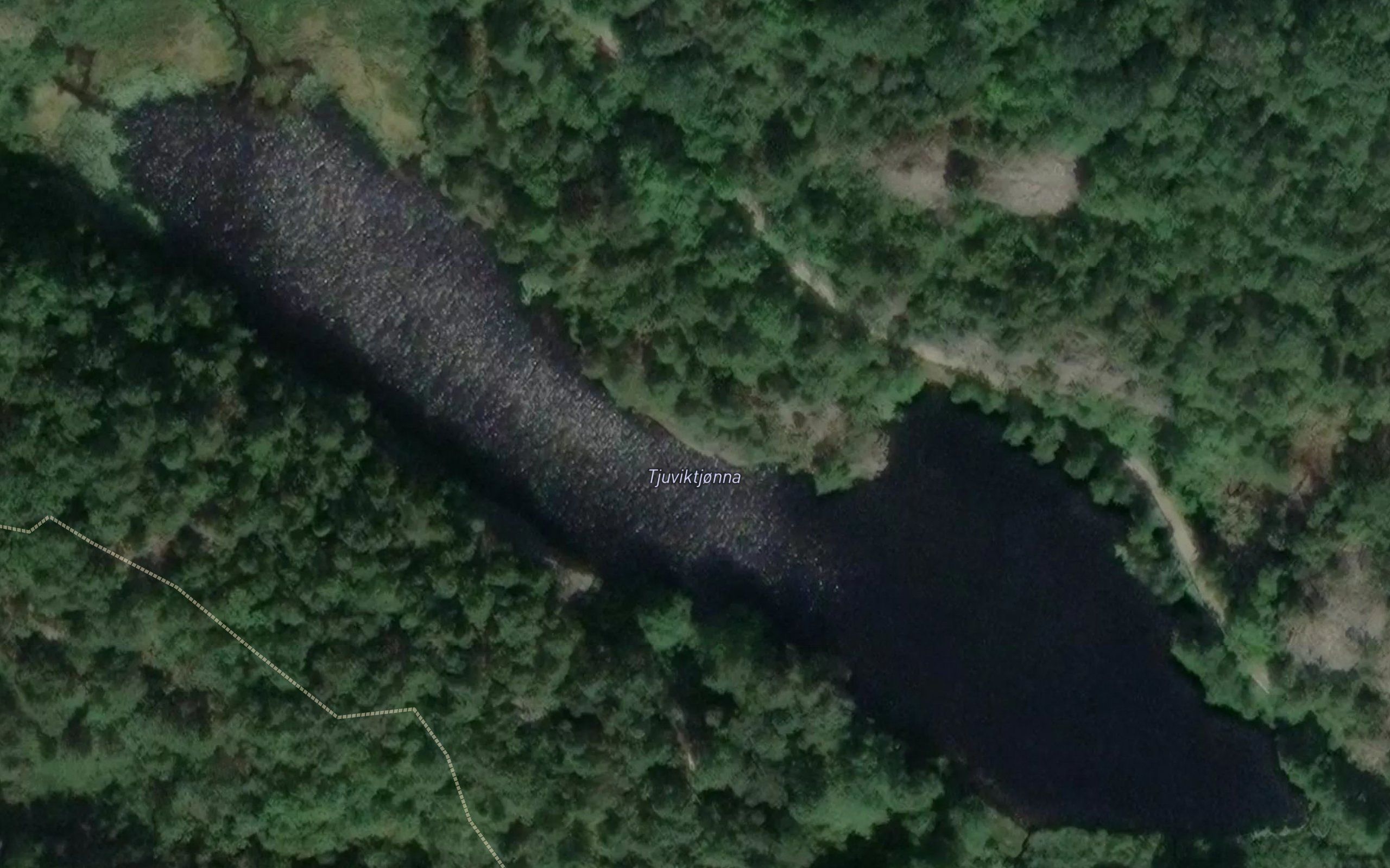 Tjuviktjonna