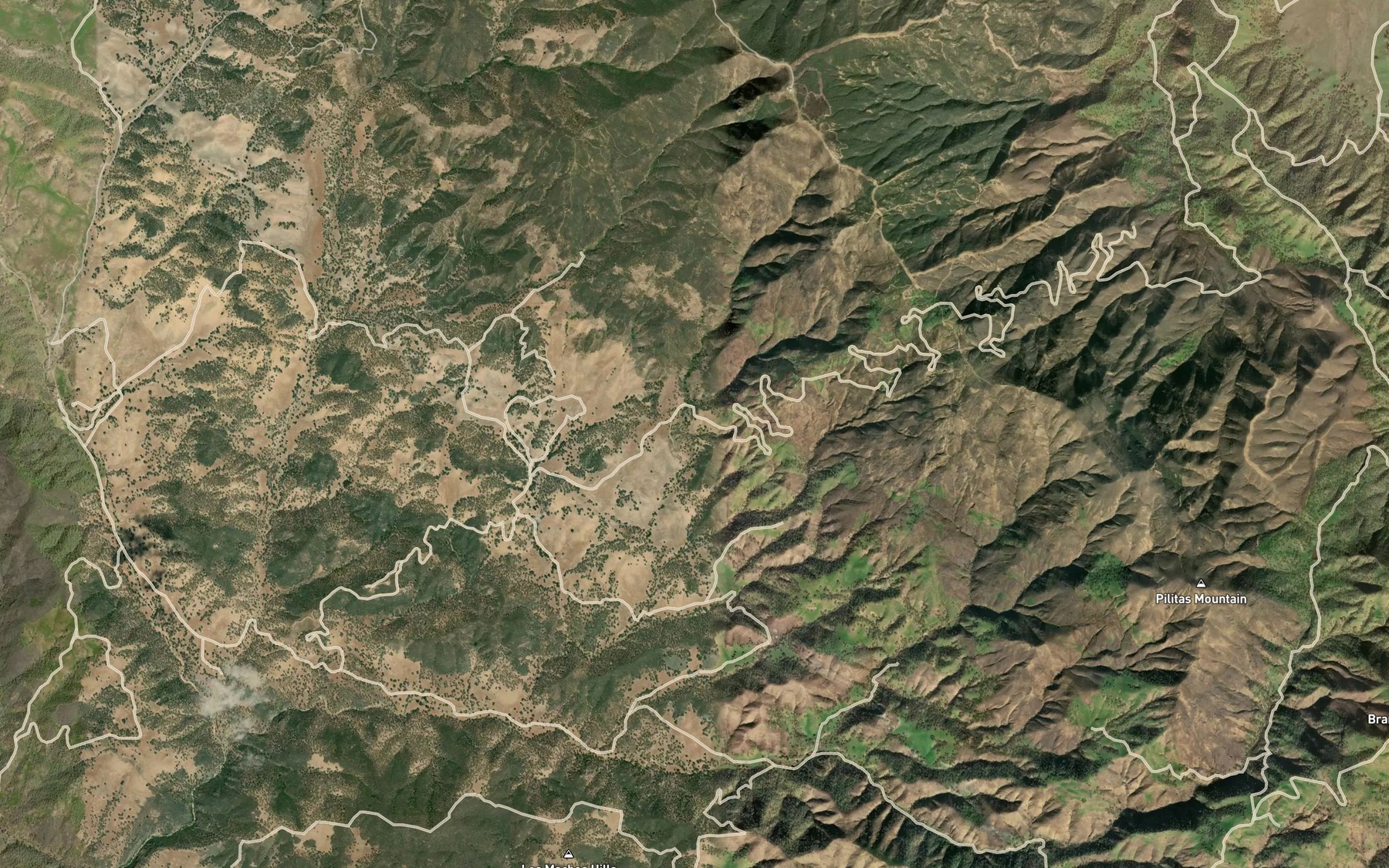Satellite map of the Peartree Spring