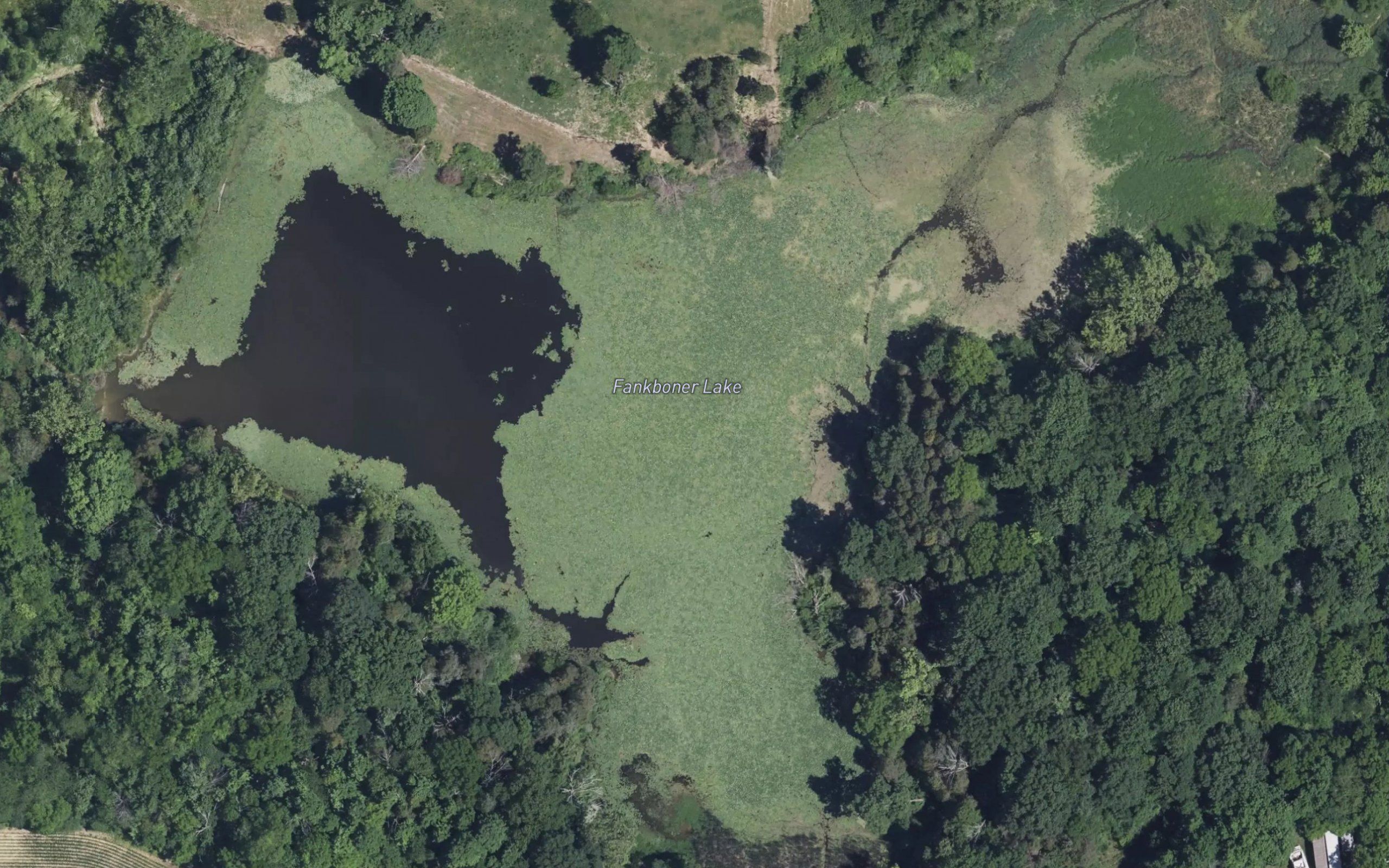 Fankboner Lake