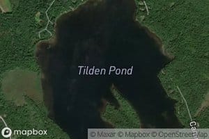 Tilden Pond
