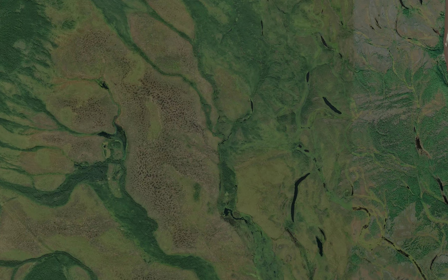 Satellite map of the Levyy Kar'yalak