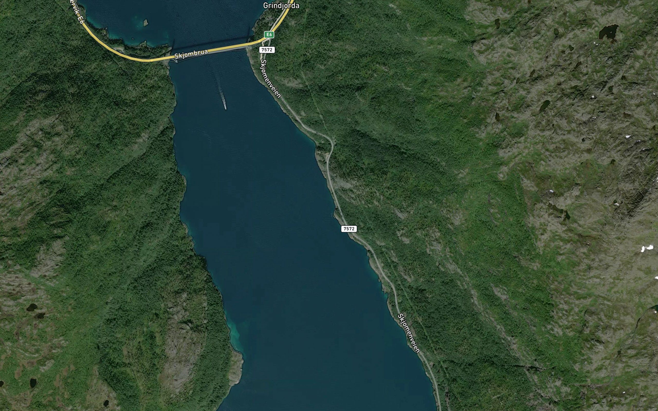 Brurskjervika