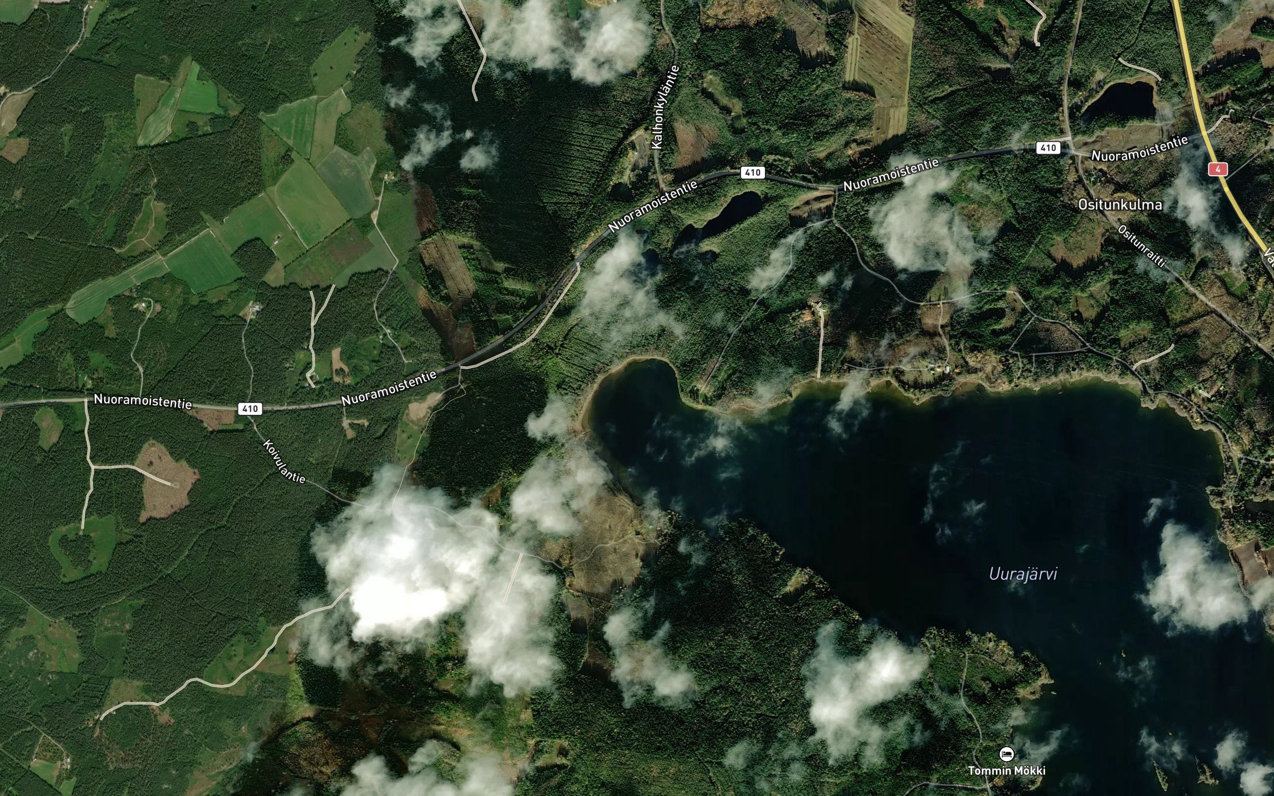 Koivulanmutka