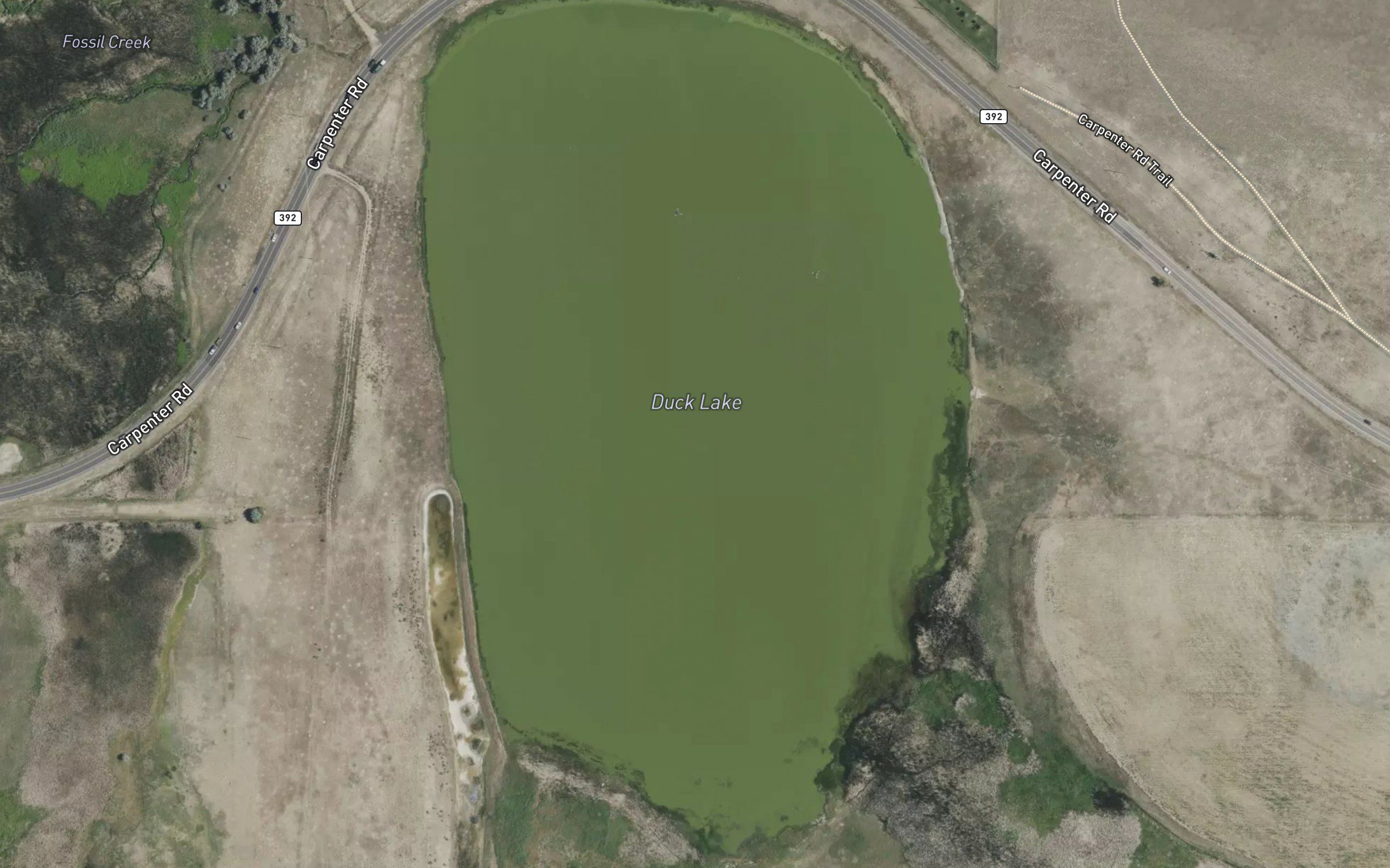Duck Lake
