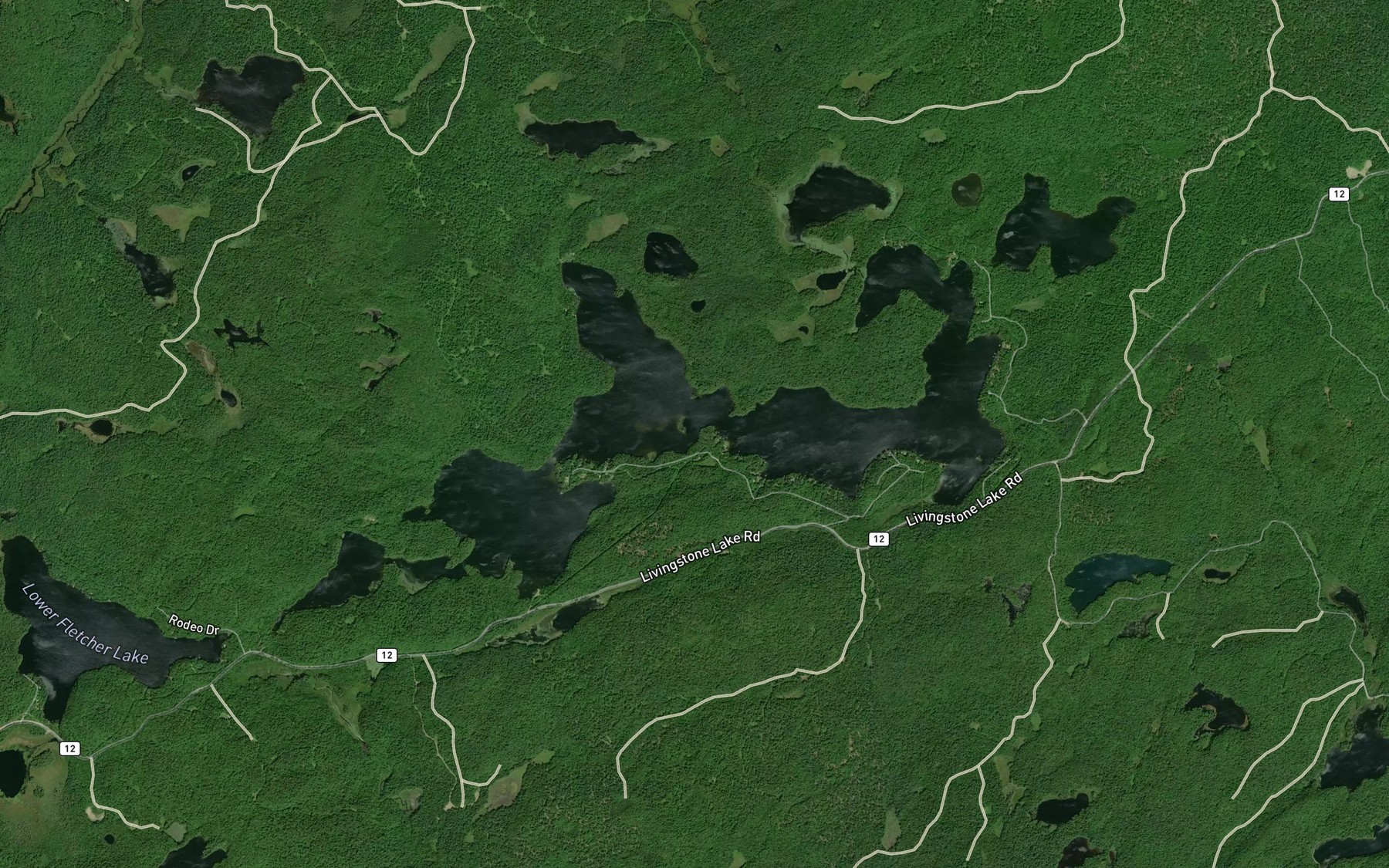 Satellite map of the Fletcher Lake