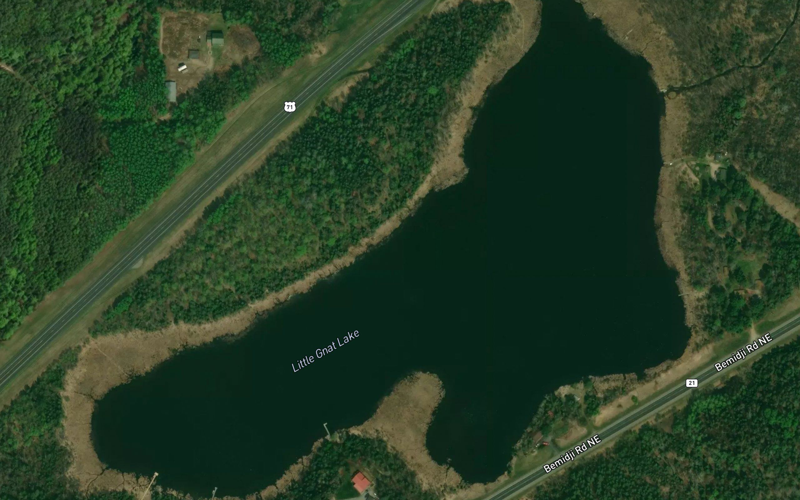Little Gnat Lake