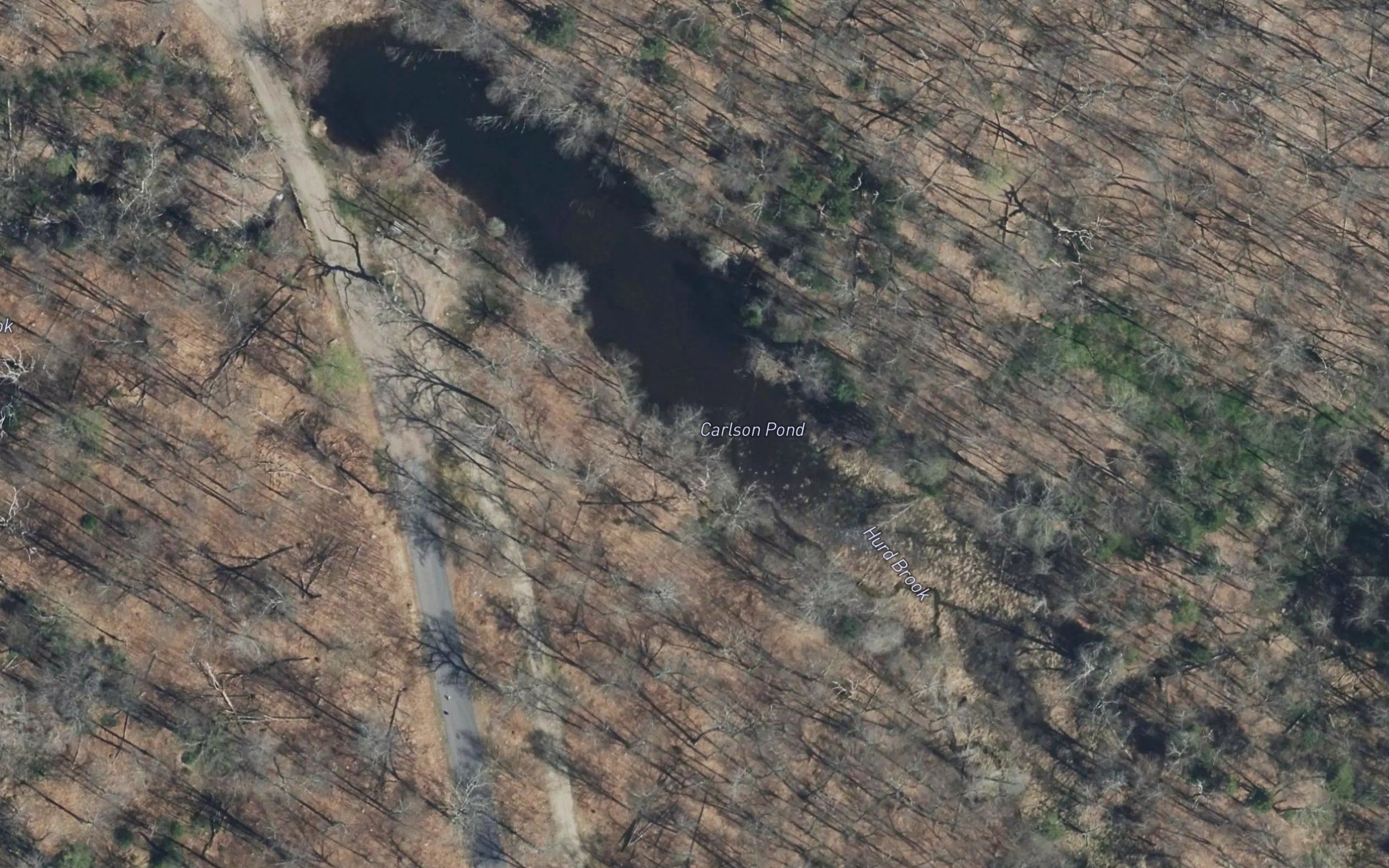 Carlson Pond