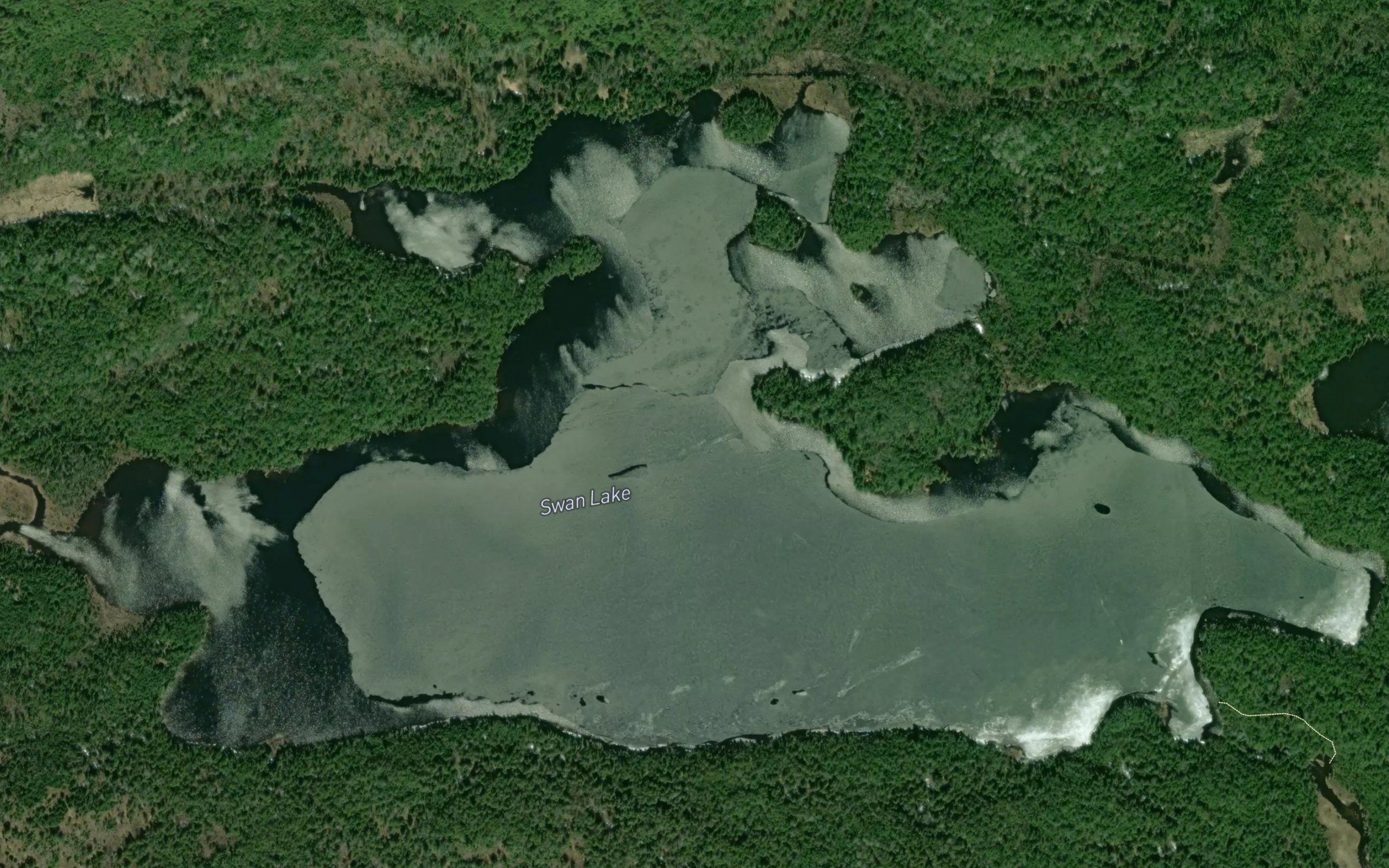 Swan Lake