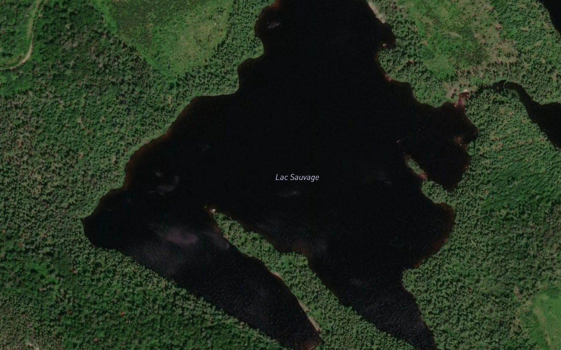 Satellite map of the Lac Sauvage