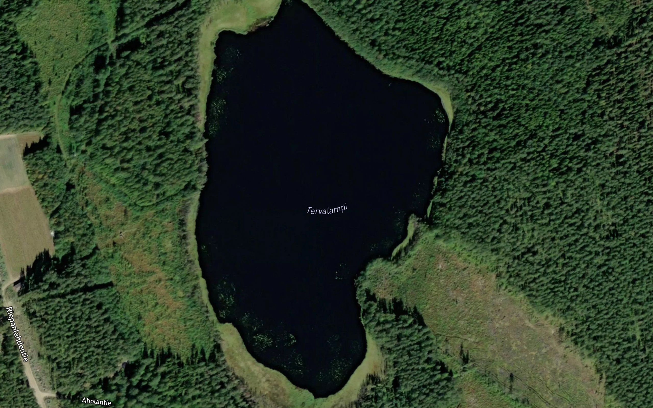 Tervalampi