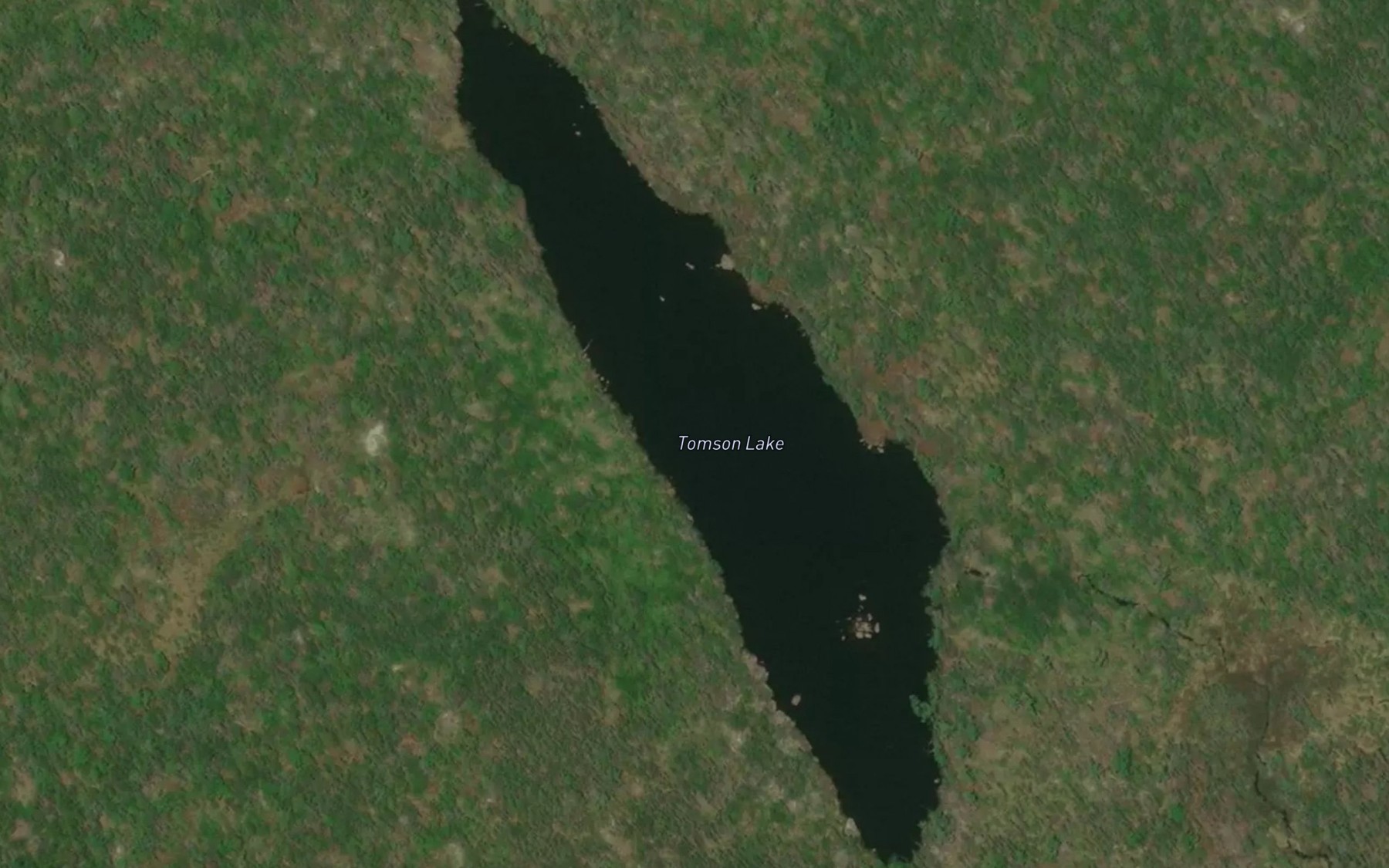 Satellite map of the Tomson Lake