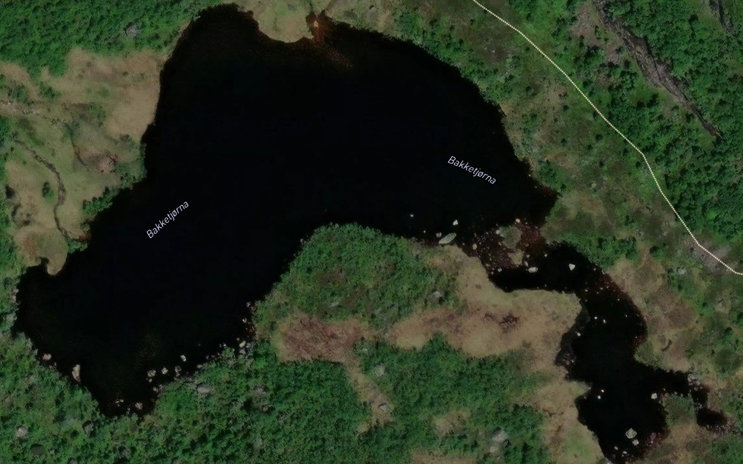 Bakketjorna