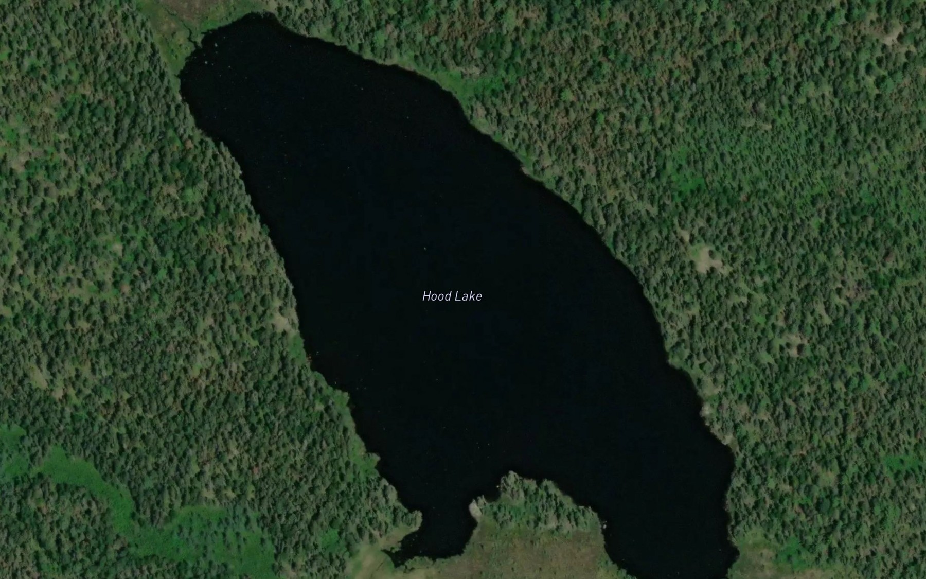 Satellite map of the Hood Lake