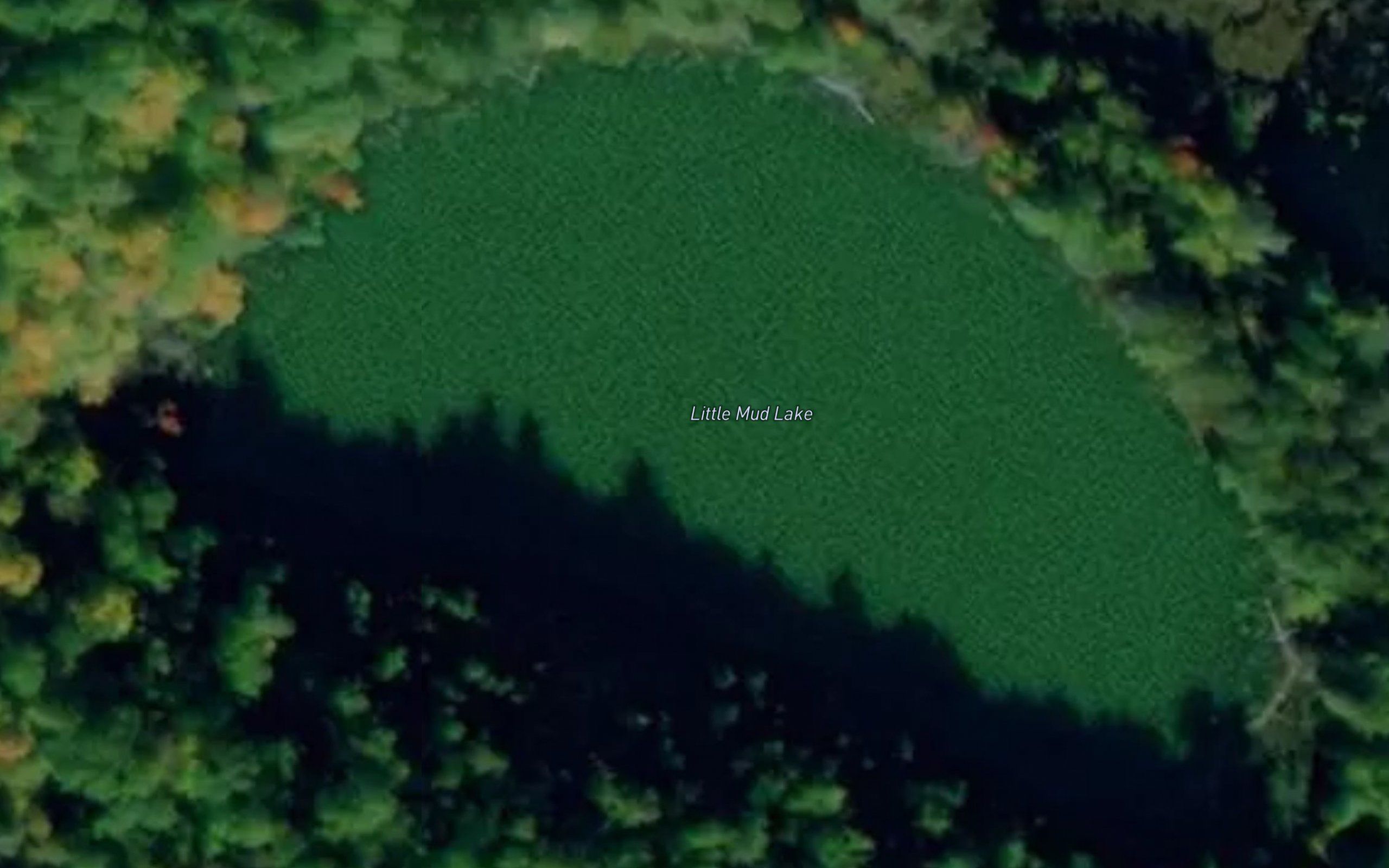 Little Mud Lake