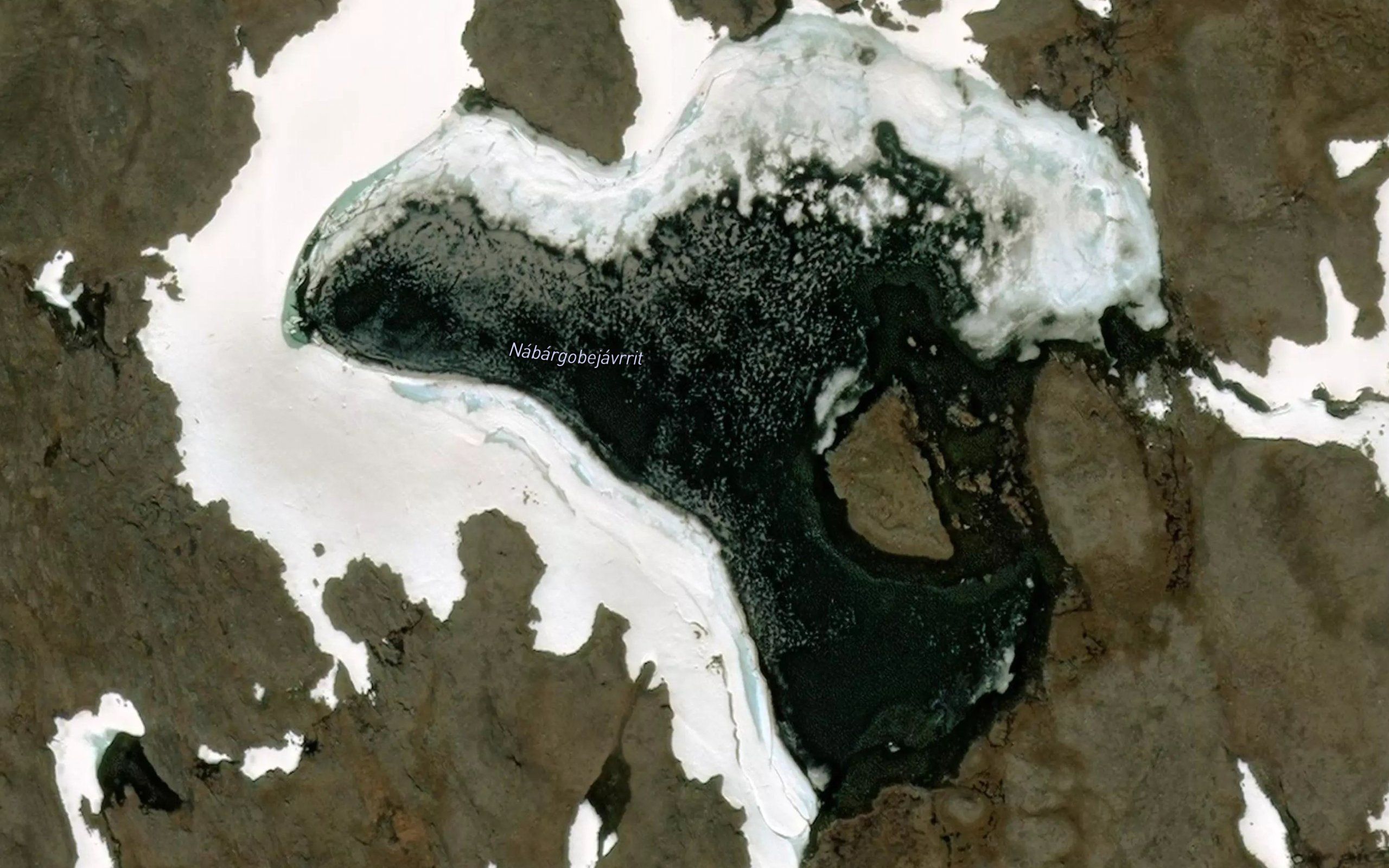 Nabargabejavrit