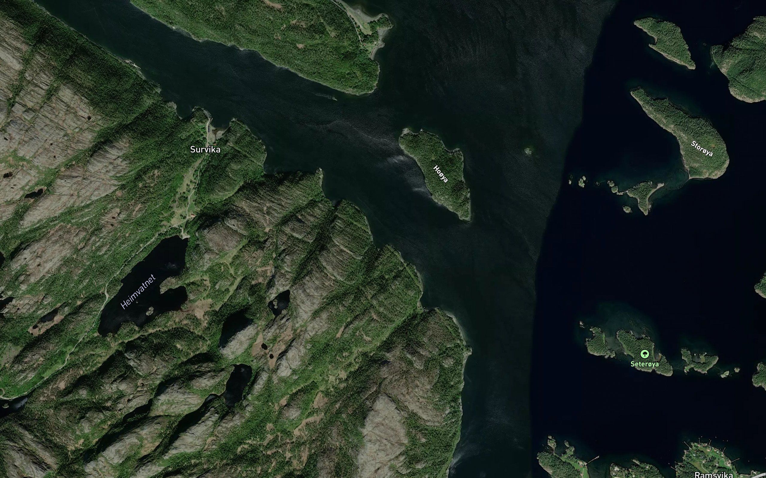 Groftvika