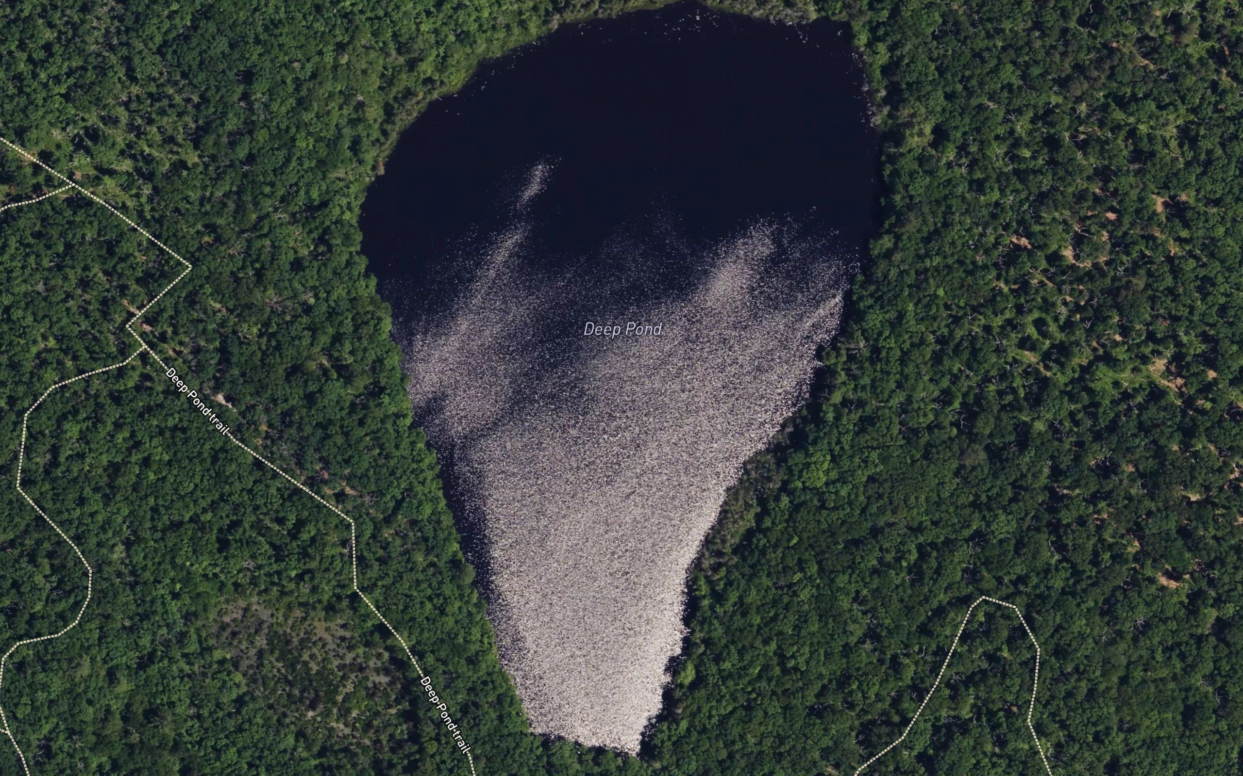 Deep Pond