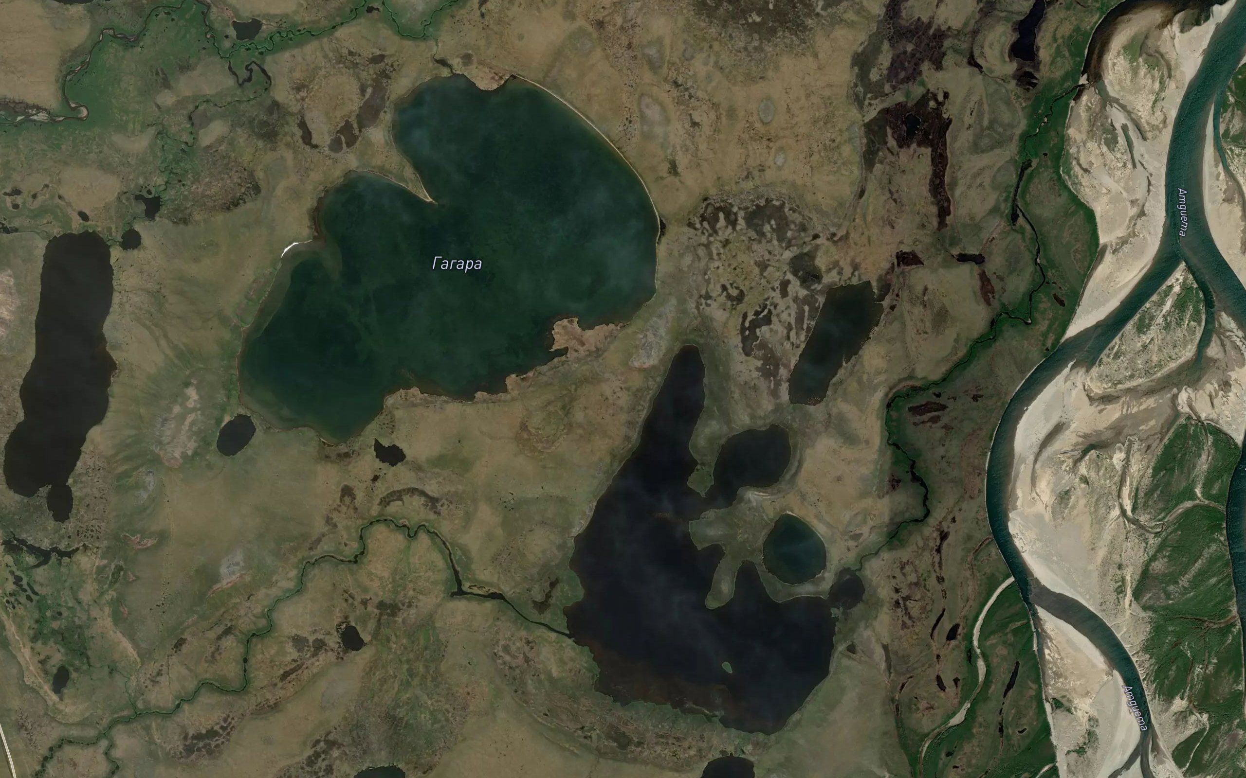 El'dgyntagraun
