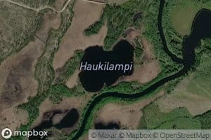 Haukilampi
