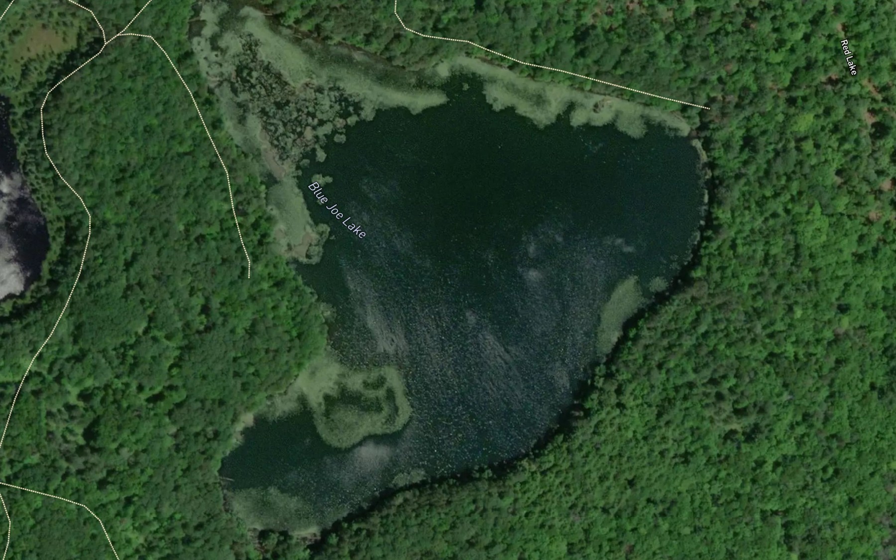 Satellite map of the Blue Joe Lake