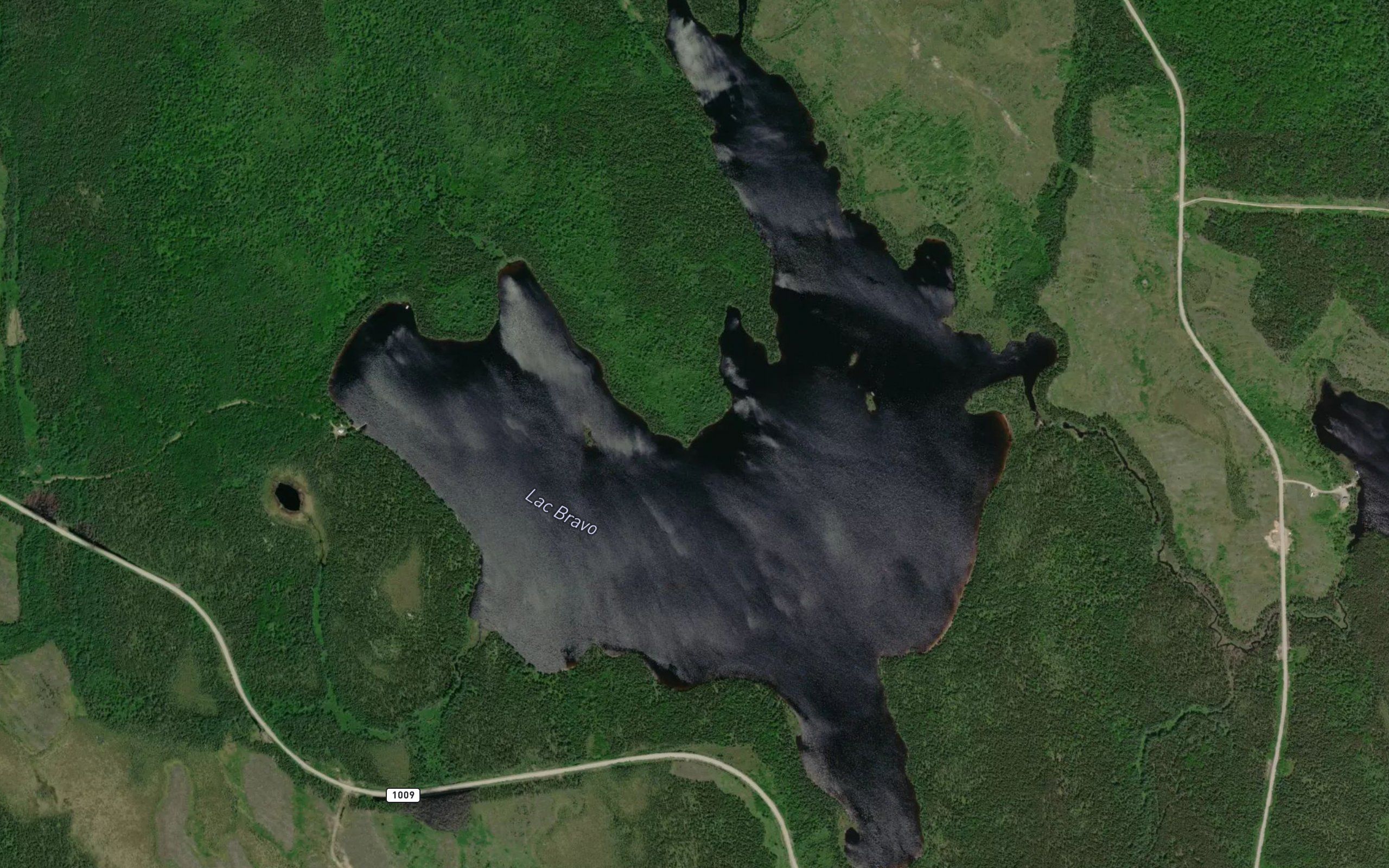 Lac Bravo