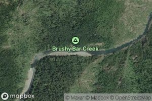 Brushy Bar Riffle