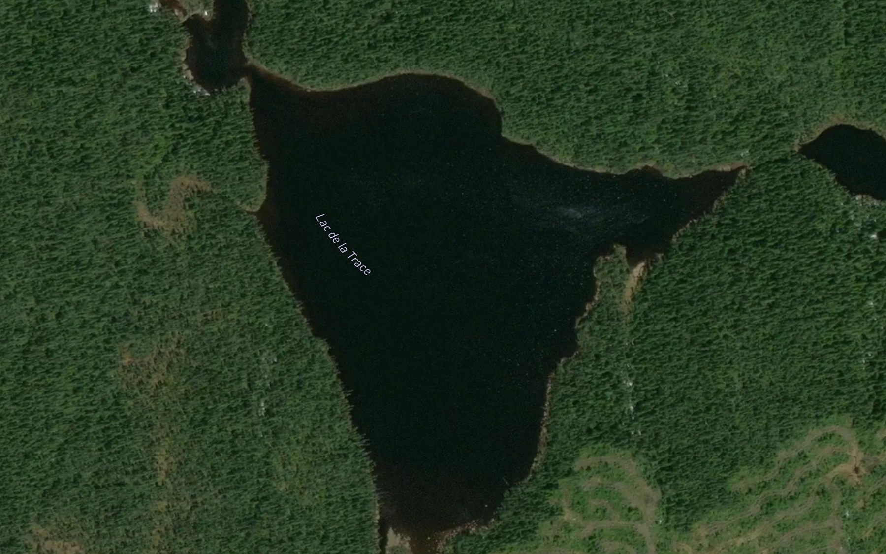 Satellite map of the Lac de la Trace
