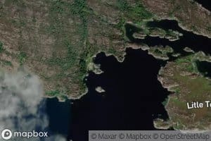 Gronevika