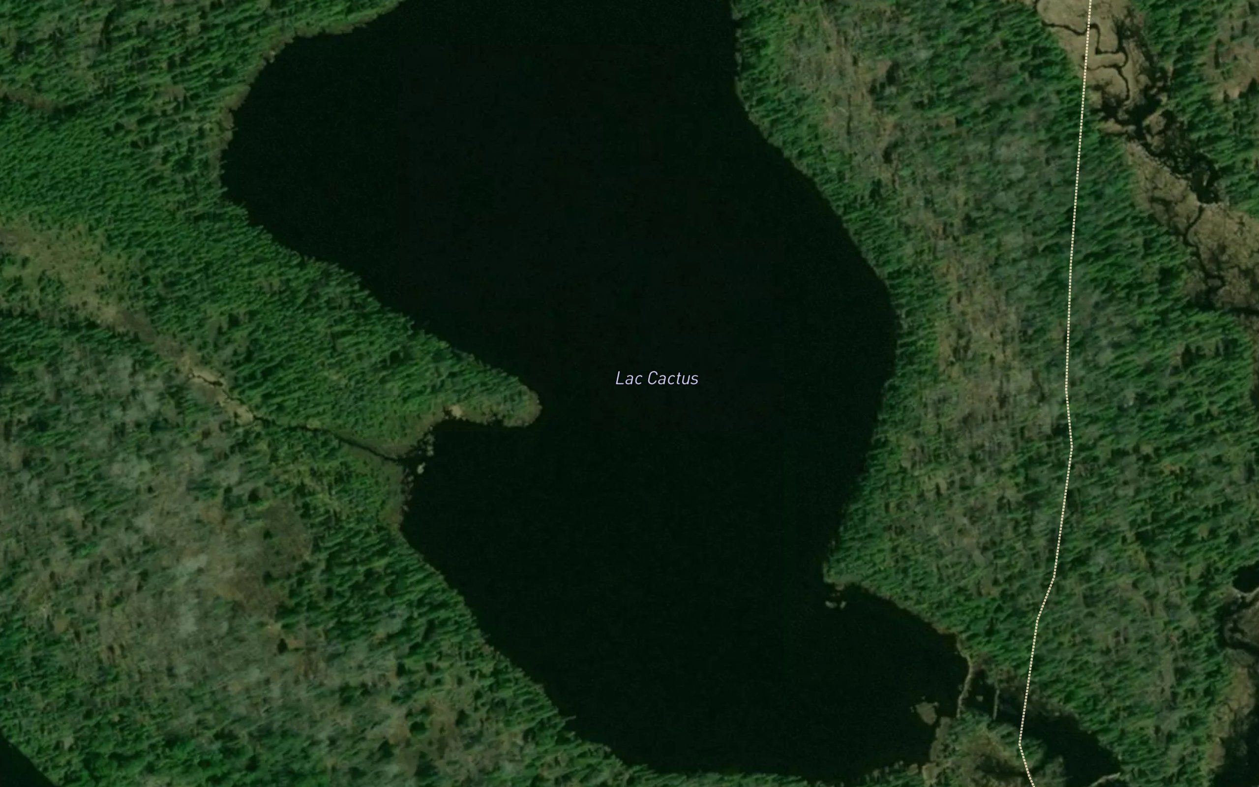 Lac Cactus