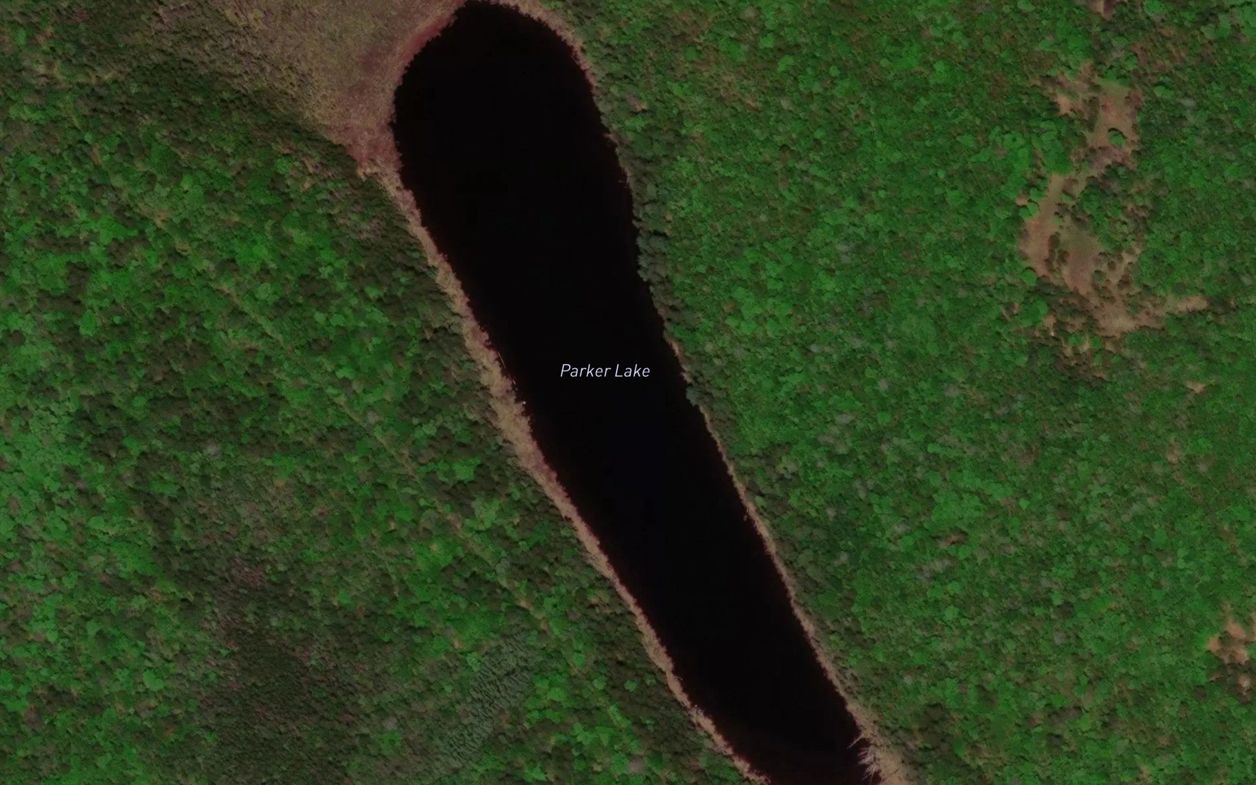 Parker Lake