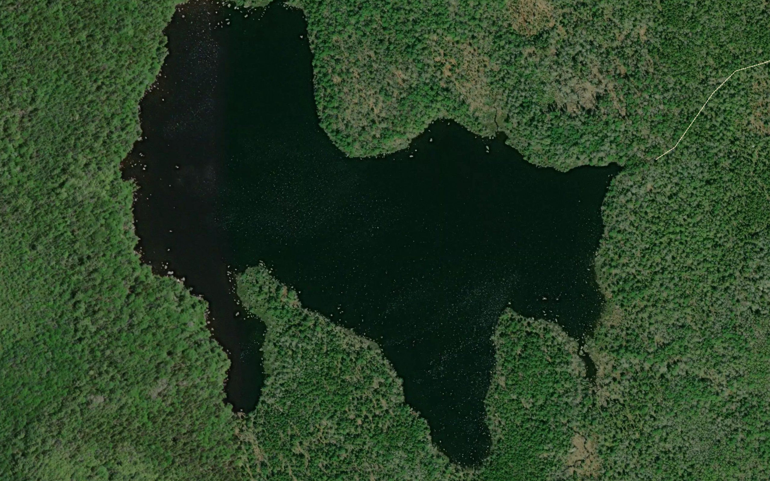 Little Bear Lake
