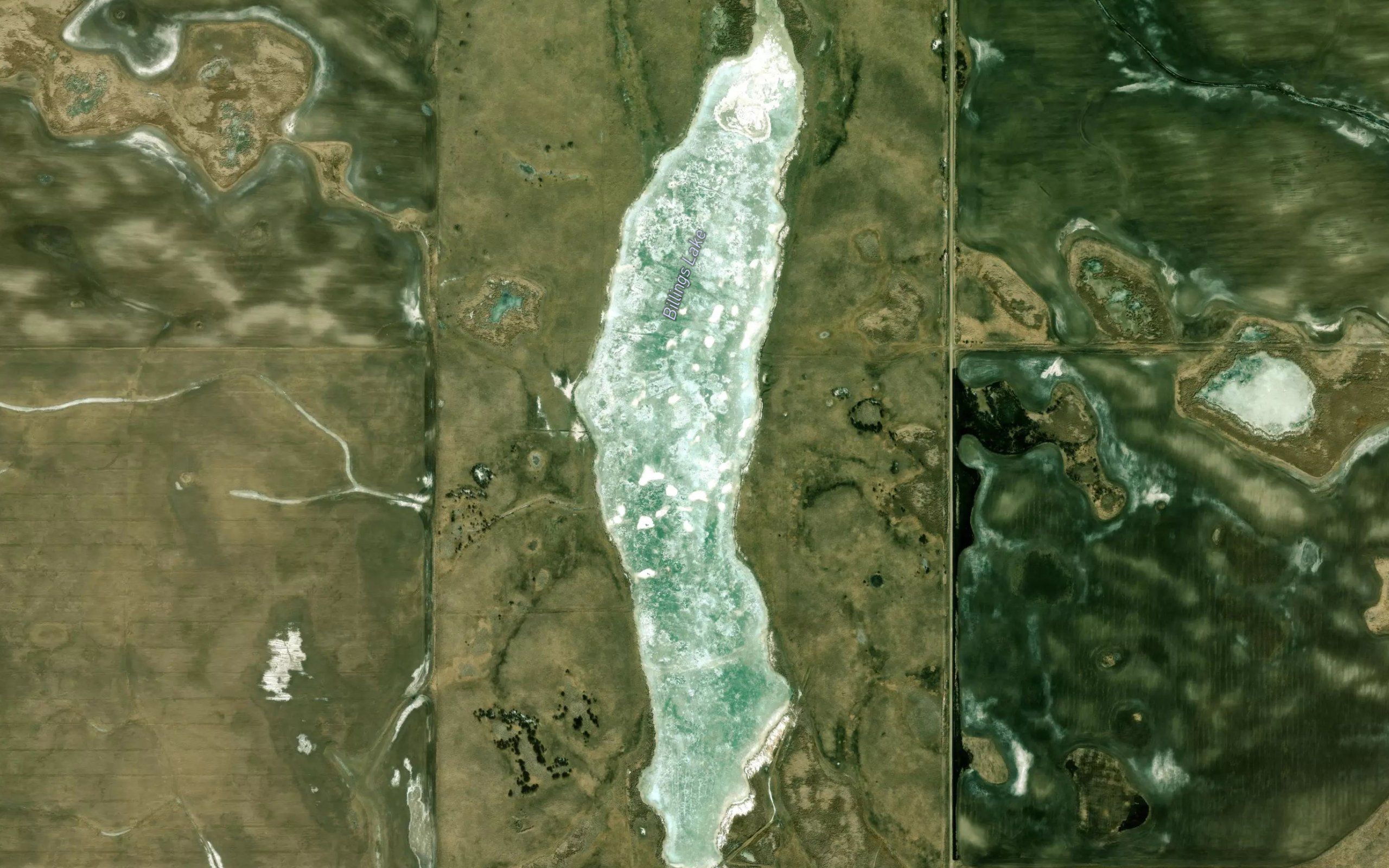 Billings Lake