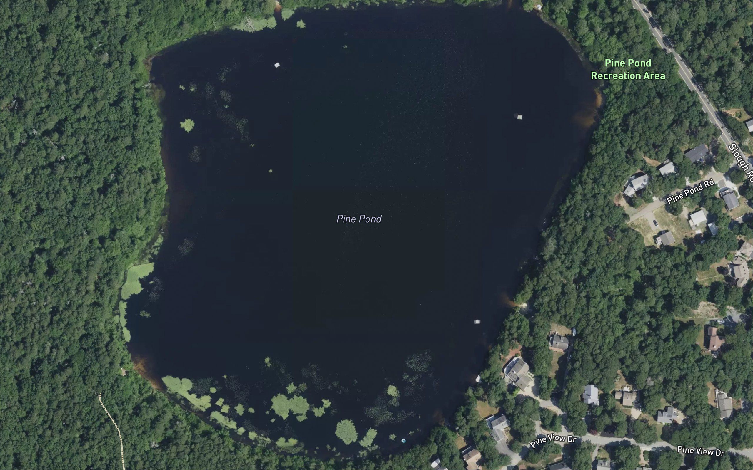 Pine Pond