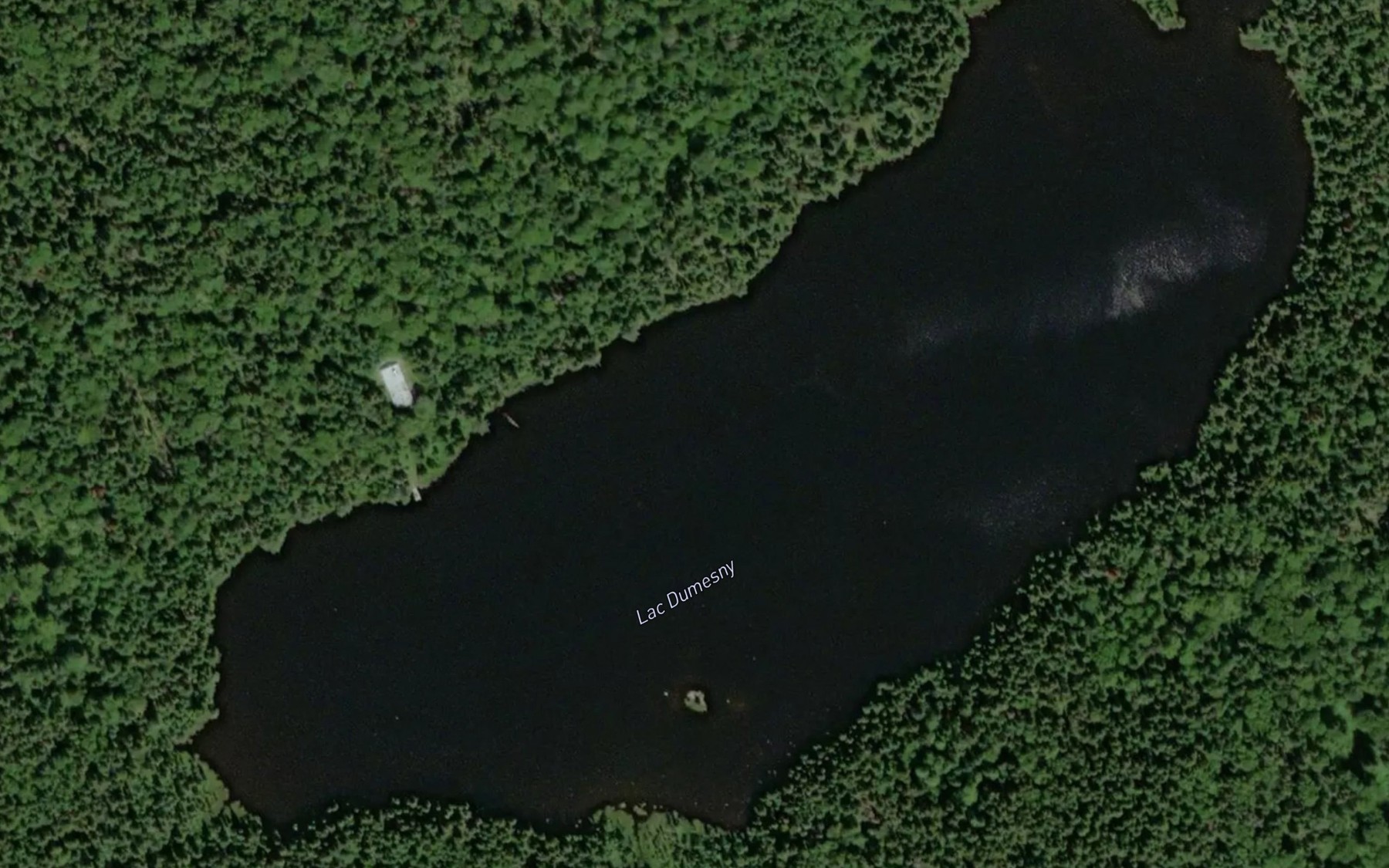 Satellite map of the Lac Dumesny