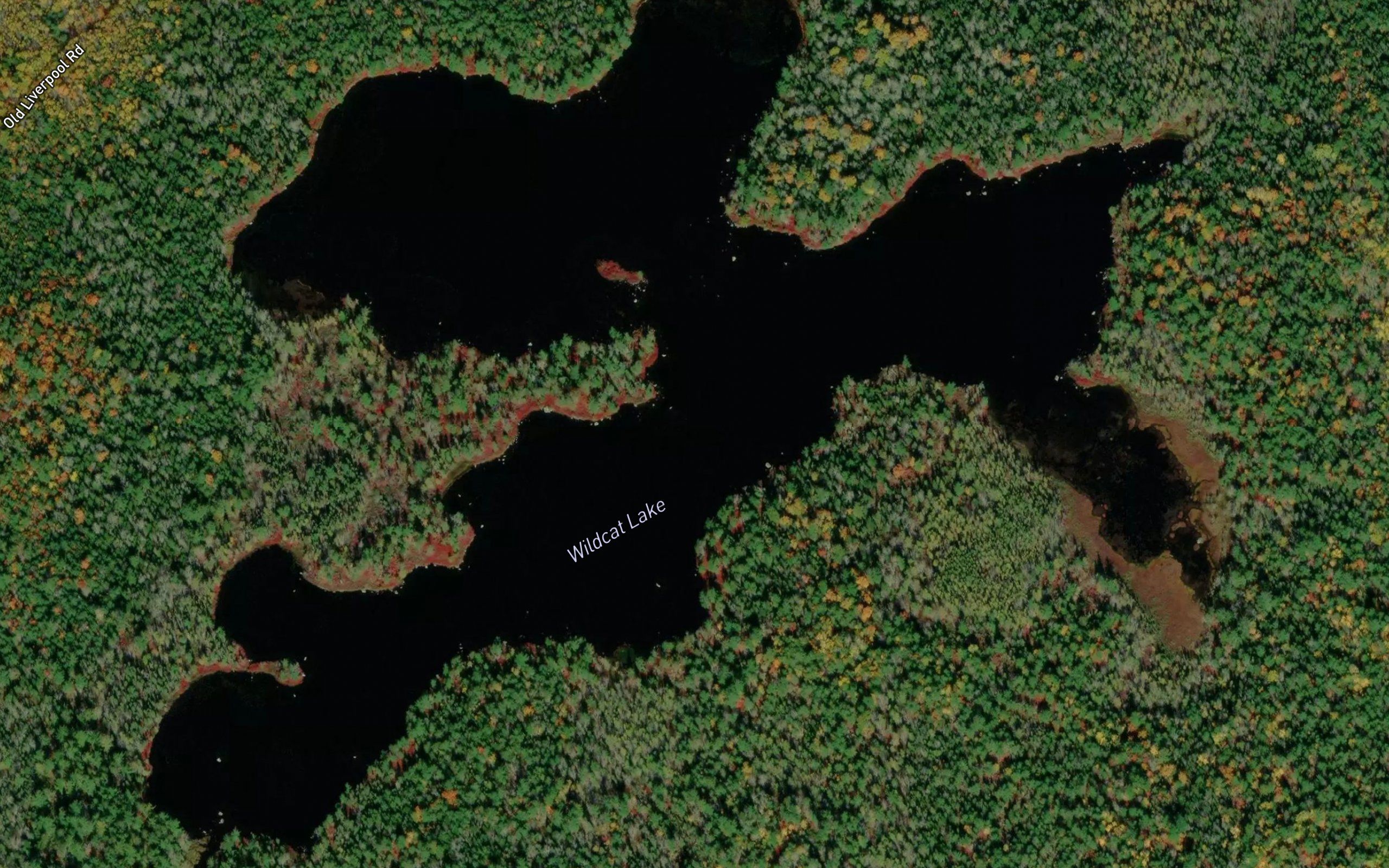Wildcat Lake