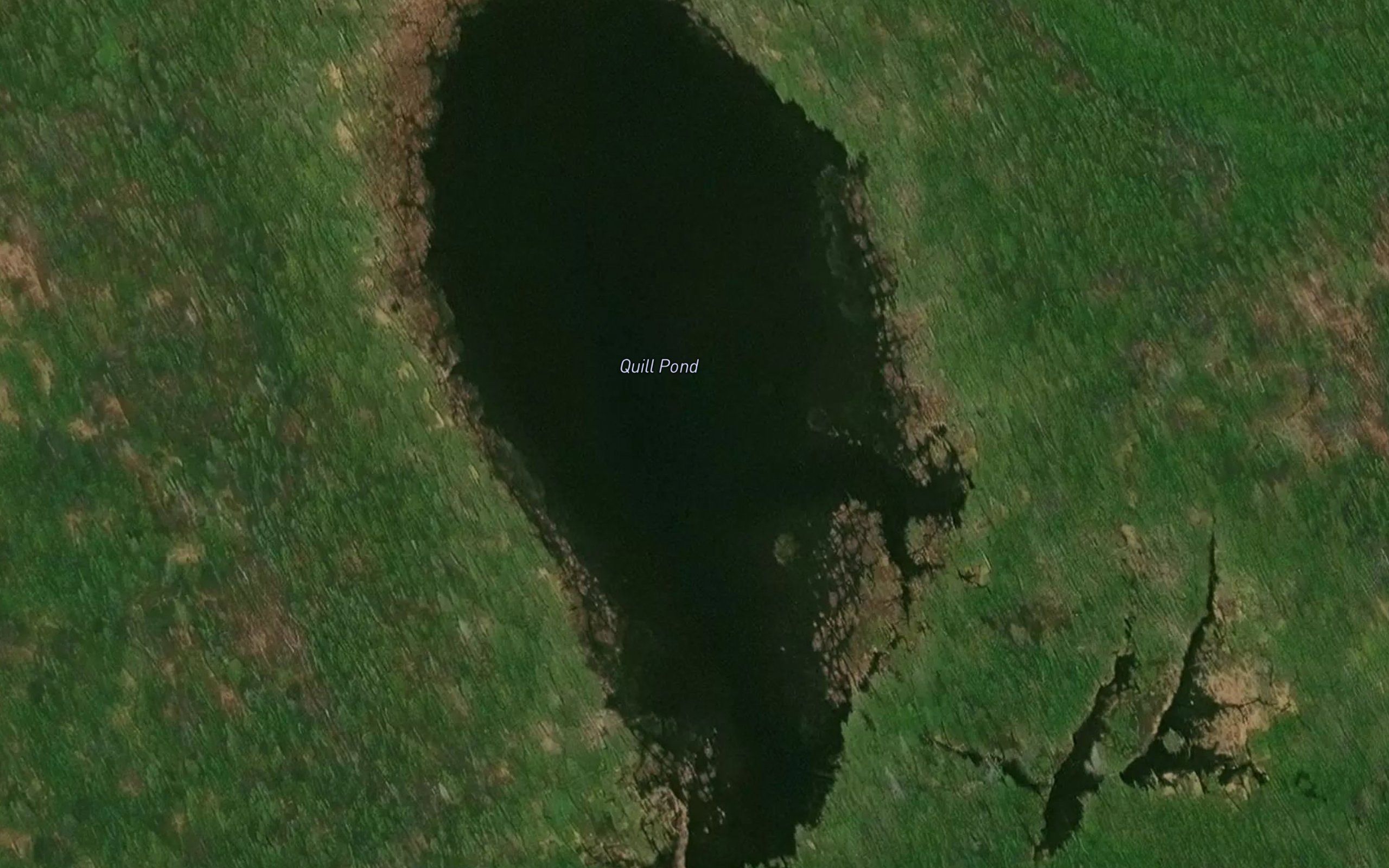 Quill Pond