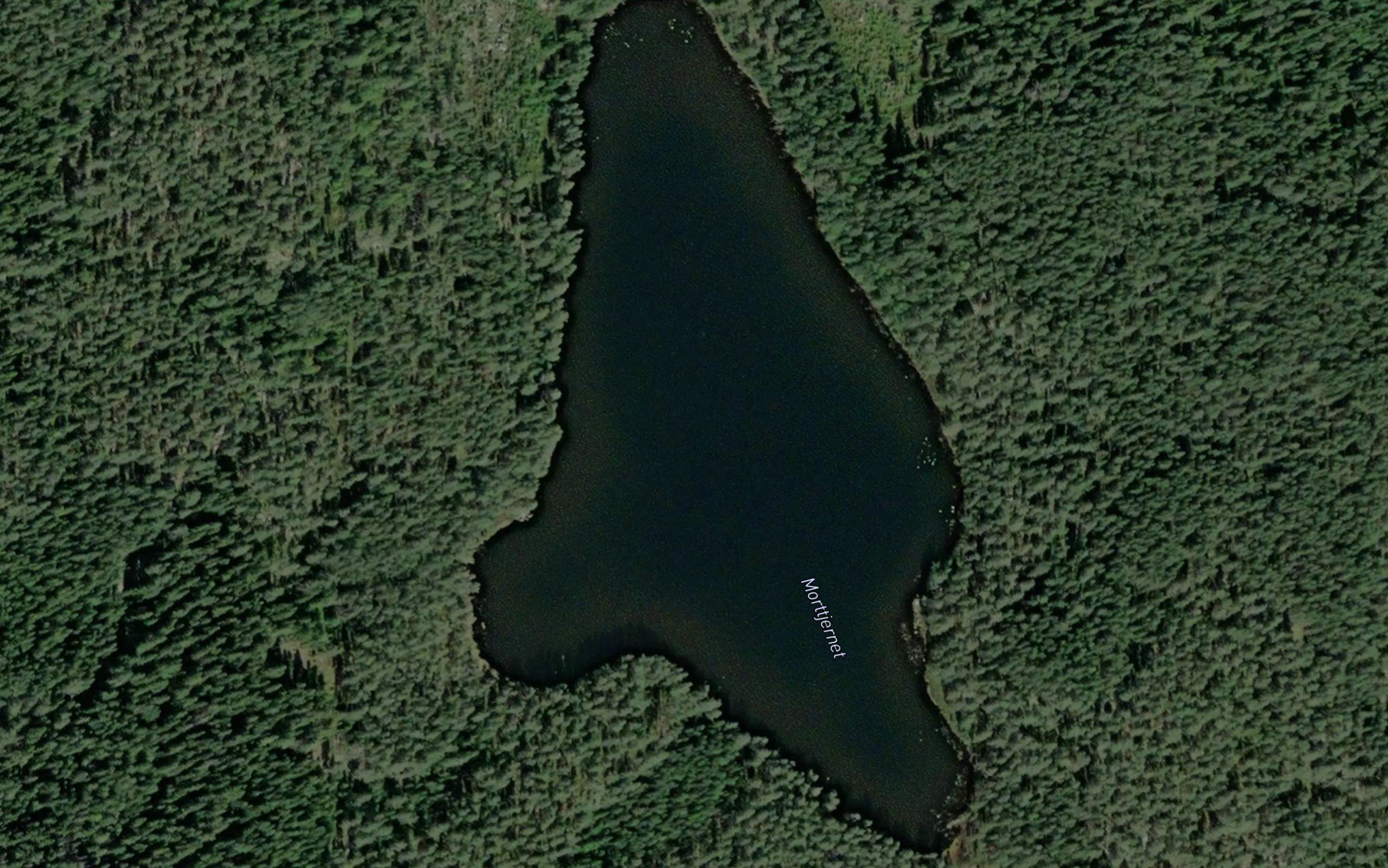 Morttjernet