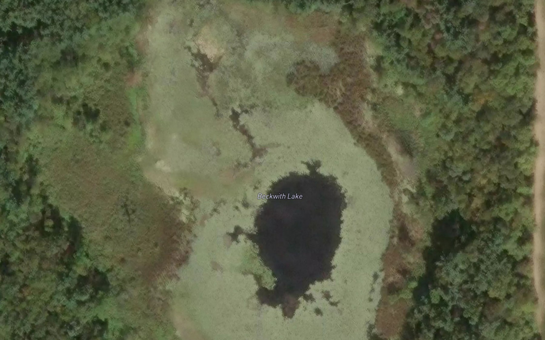 Satellite map of the Beckwith Lake