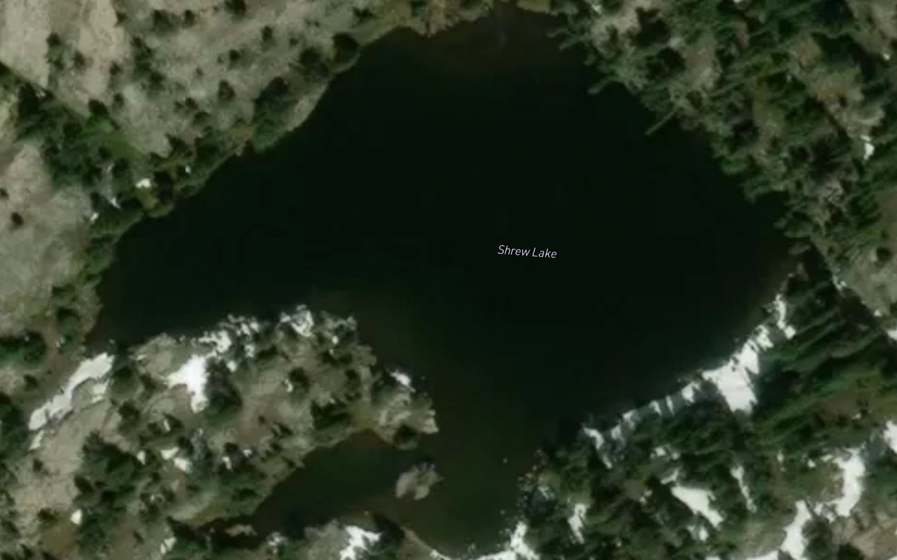 Satellite map of the Shrew Lake