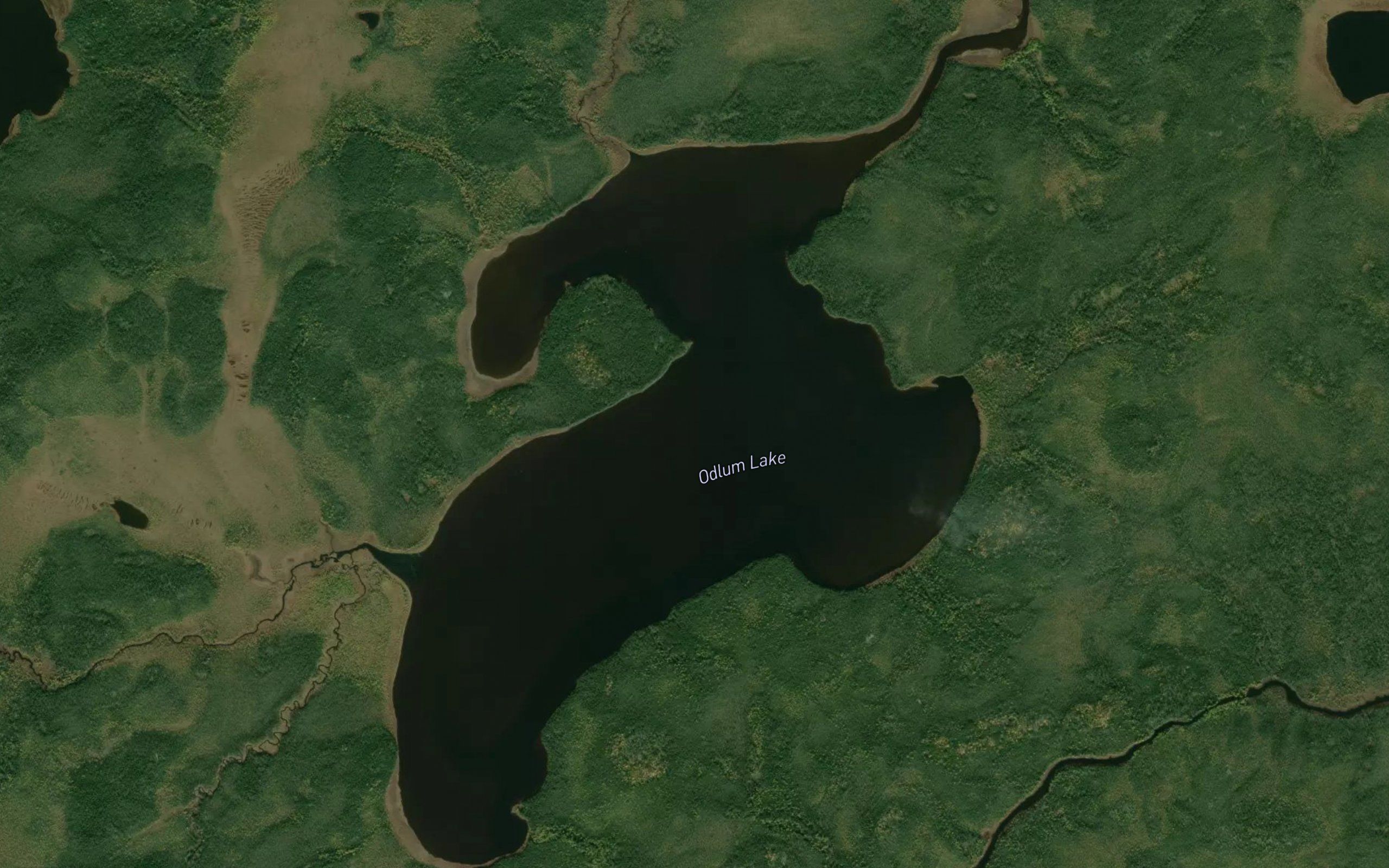 Odlum Lake