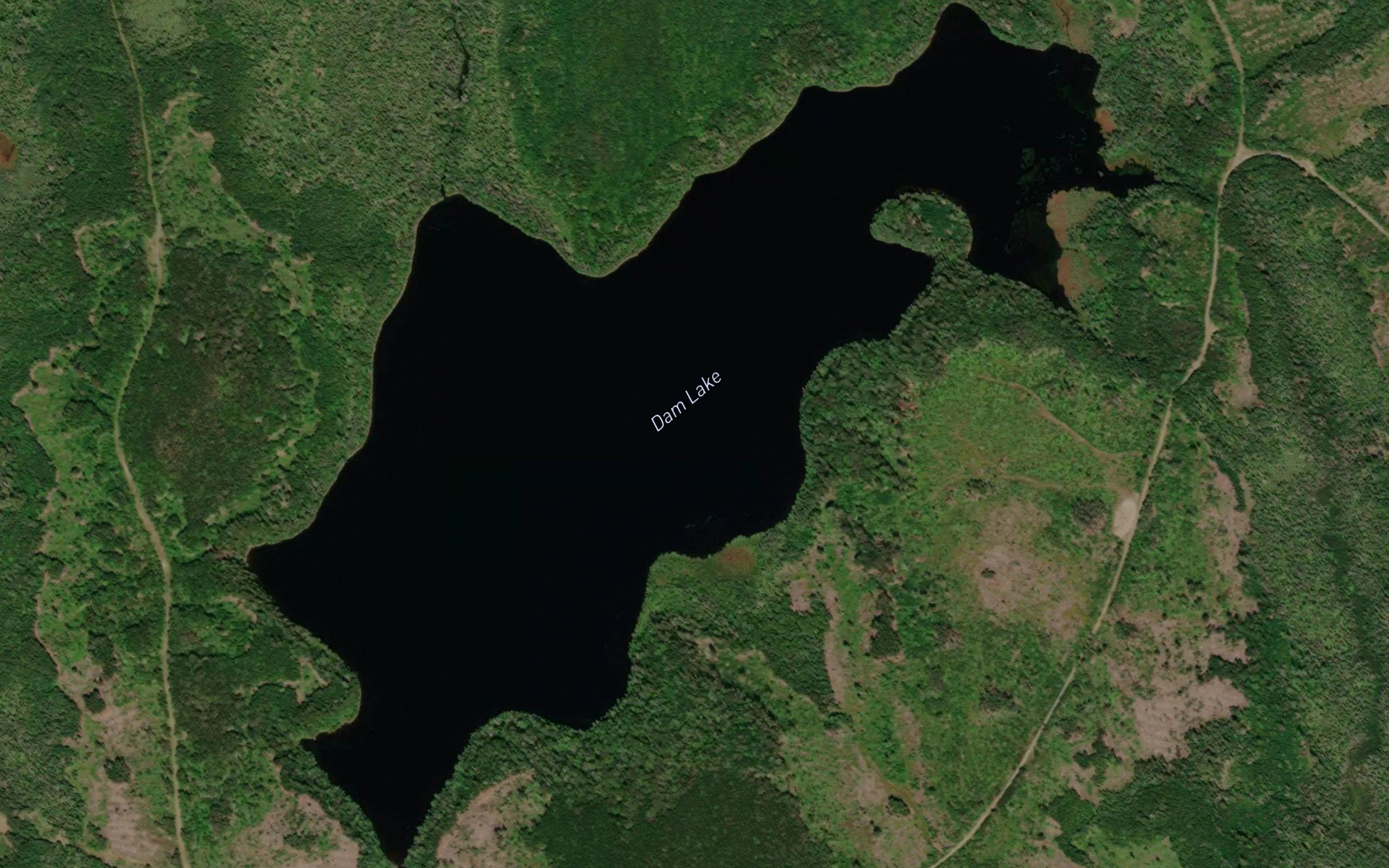 Dam Lake