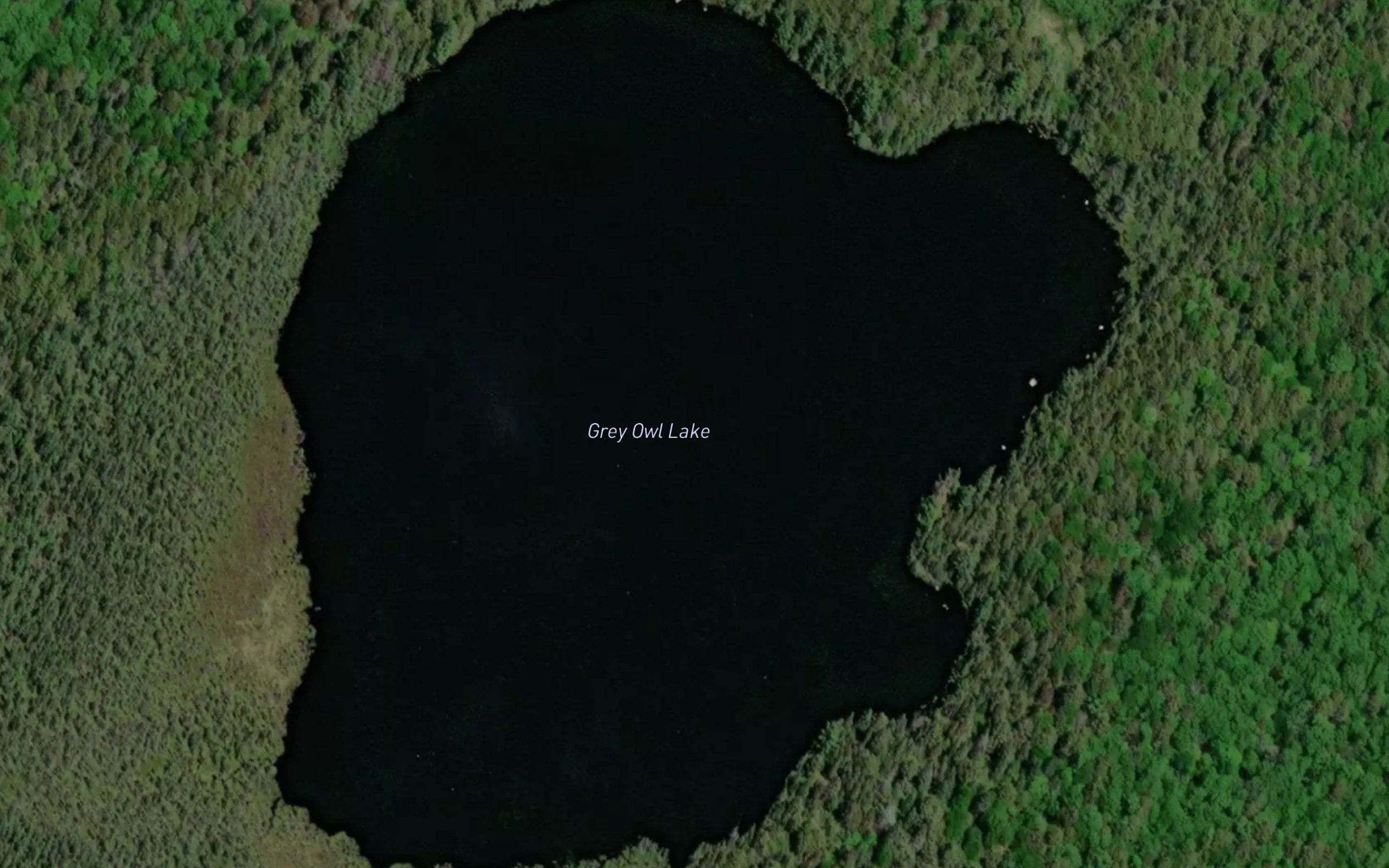Grey Owl Lake