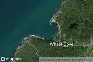 Whale Cove
