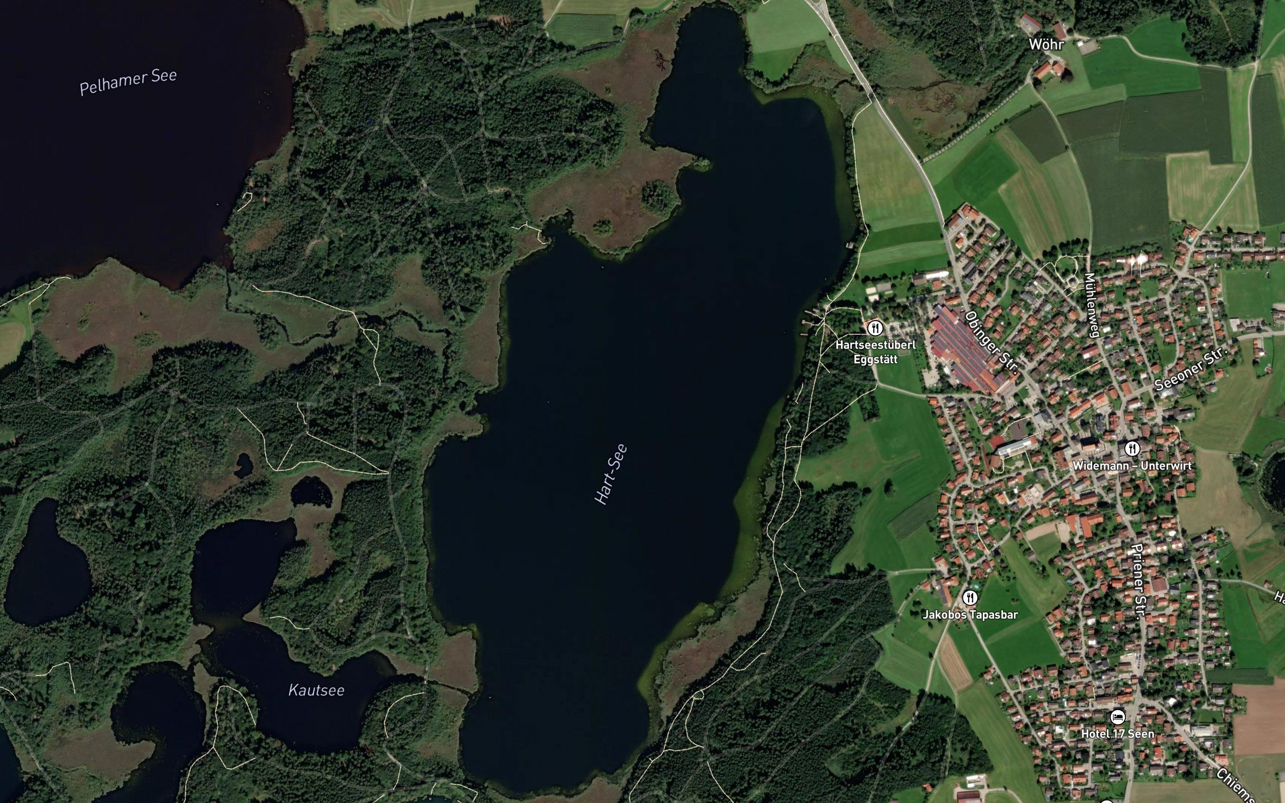 Hartsee