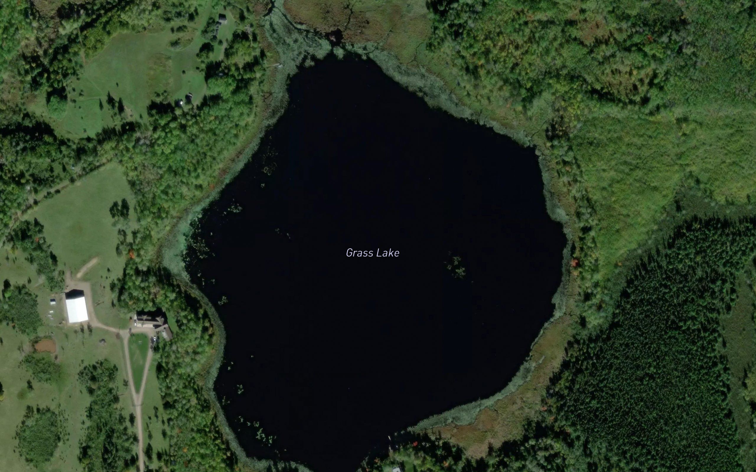 Grass Lake